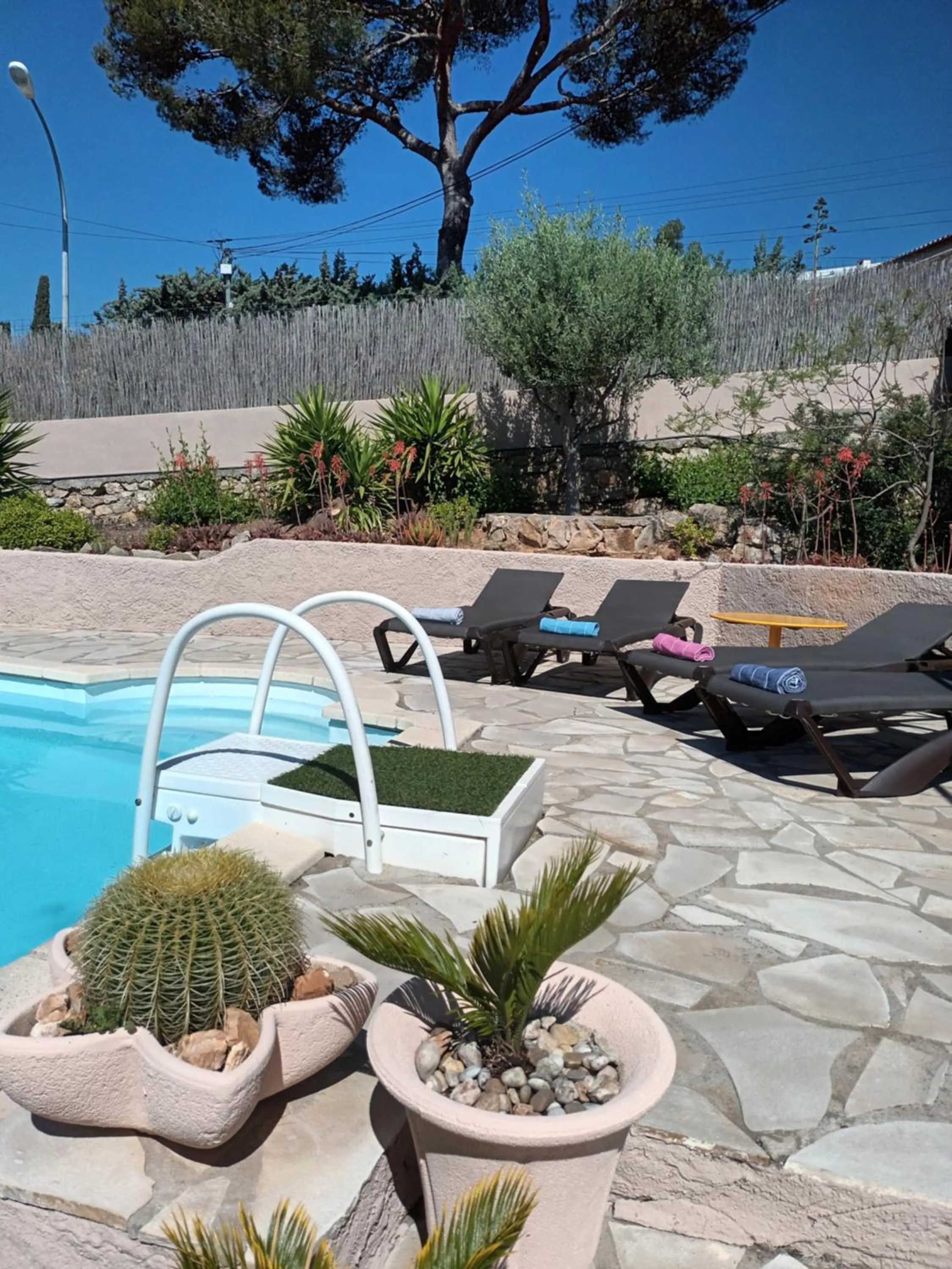 Swimming pool in Villa Cocody