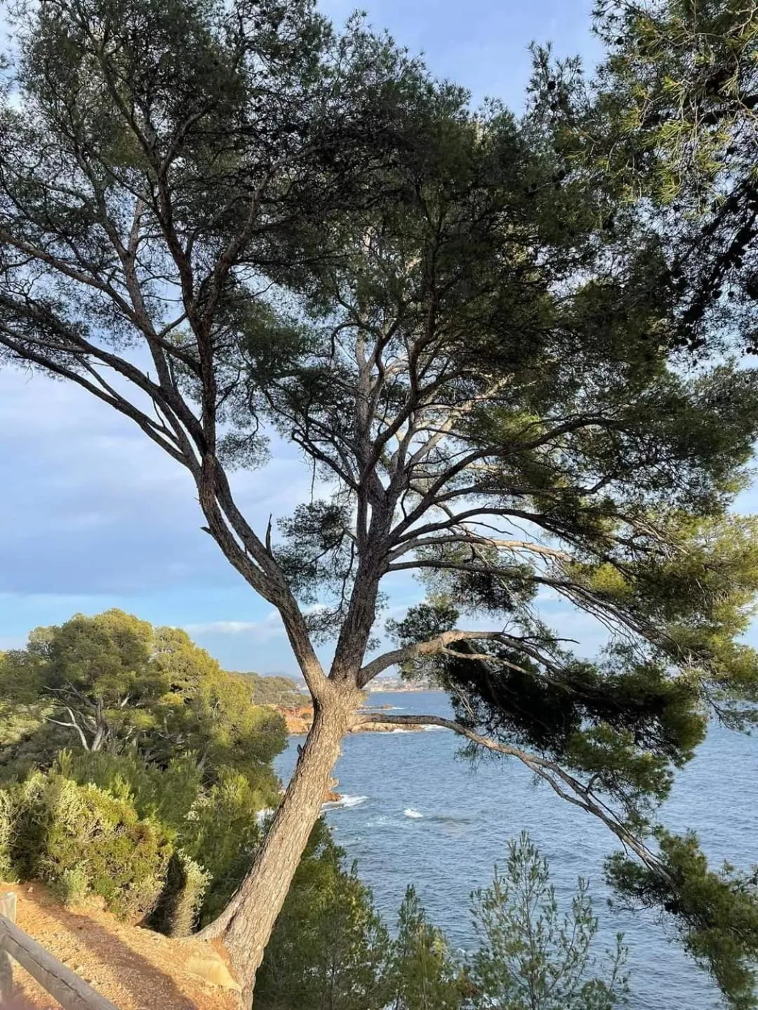 Hiking in Villa Cocody