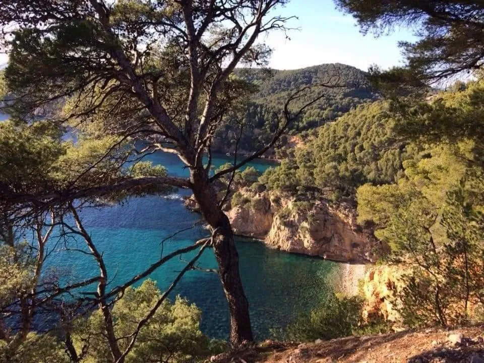 Natural landscape in Villa Cocody