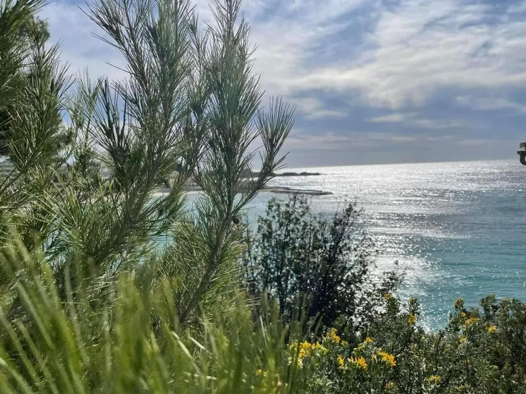 Natural landscape in Villa Cocody