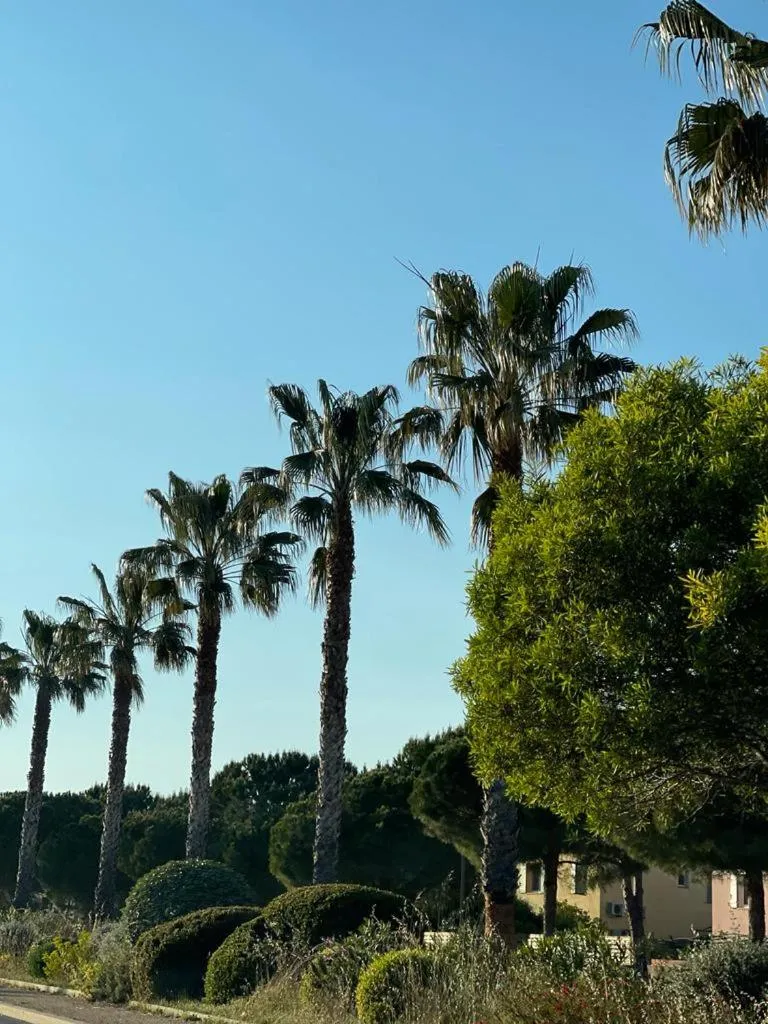 Neighbourhood in Villa Cocody