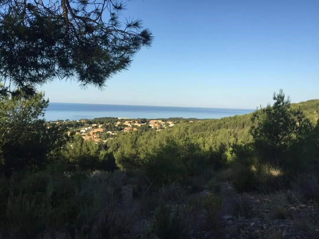 Natural landscape in Villa Cocody