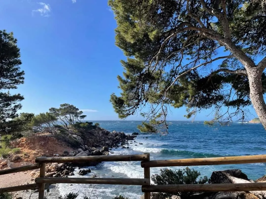 Beach in Villa Cocody