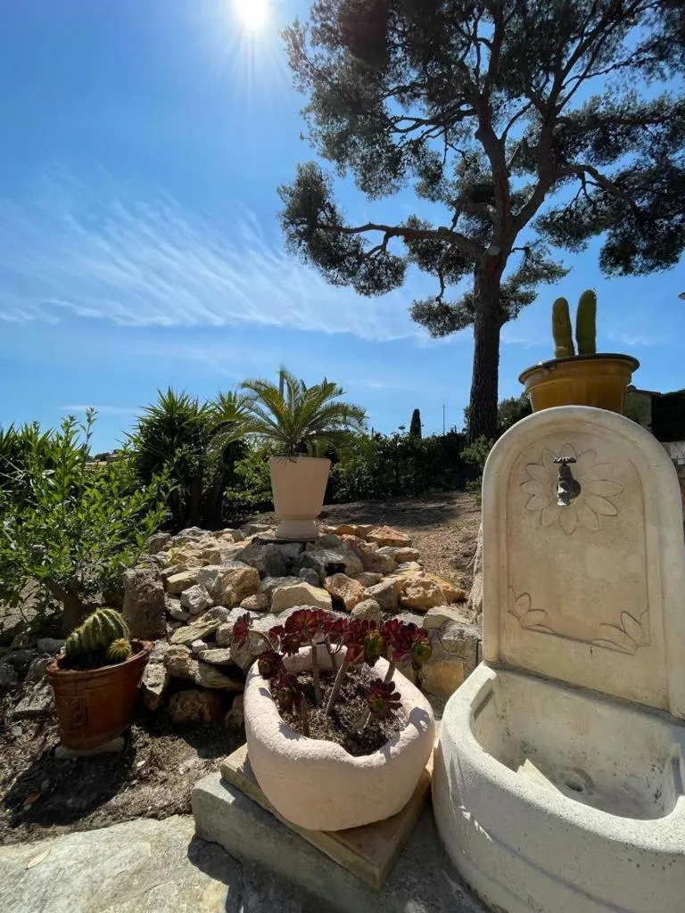 Garden in Villa Cocody