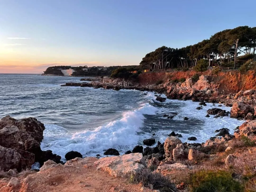 Natural landscape in Villa Cocody