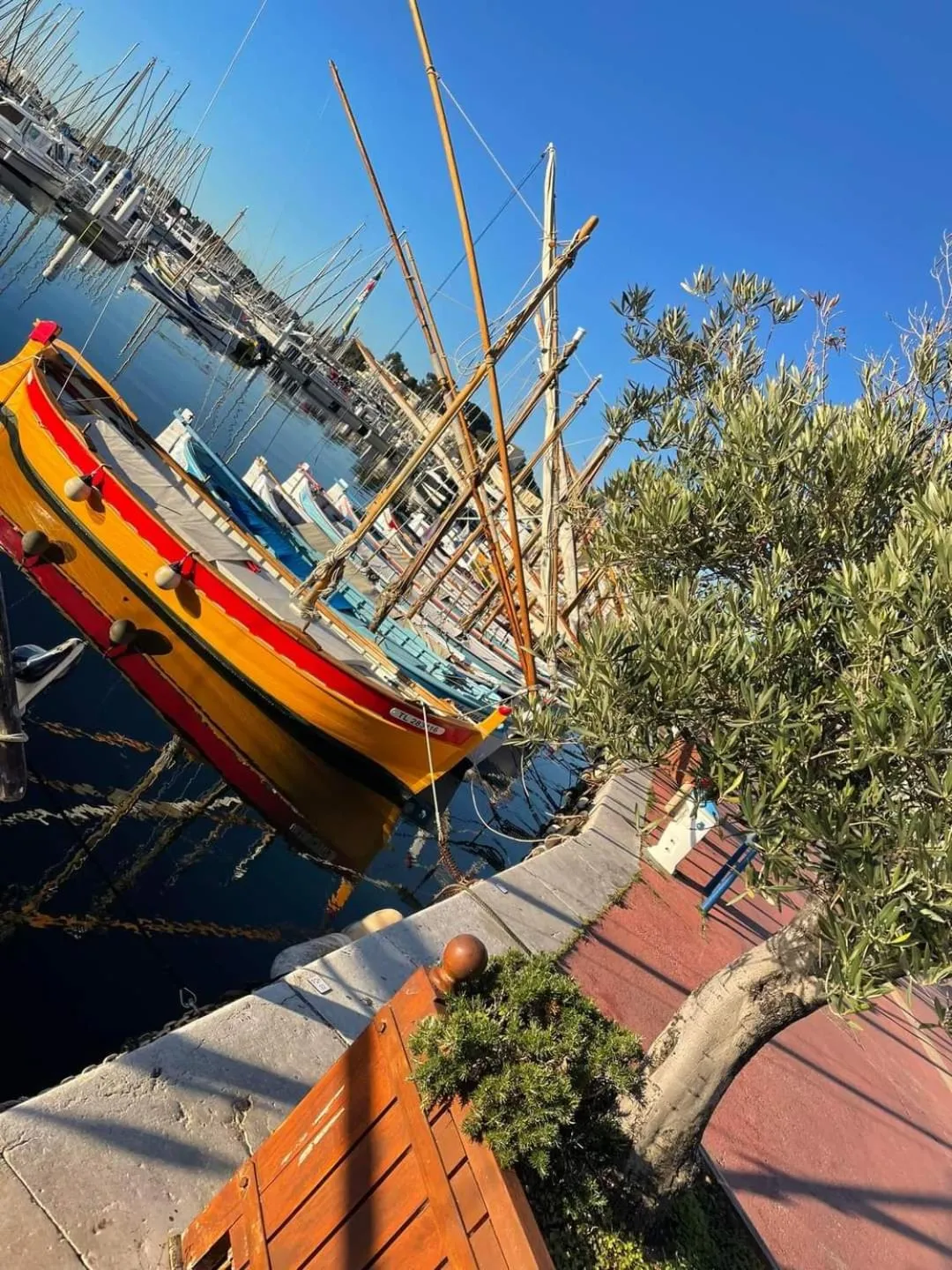 Fishing in Villa Cocody