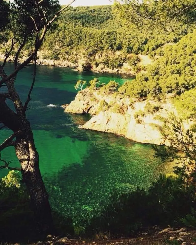 Natural landscape in Villa Cocody