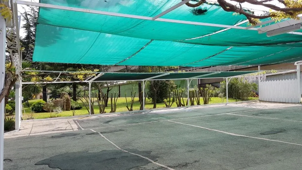 Garden in Hotel Mediterraneo