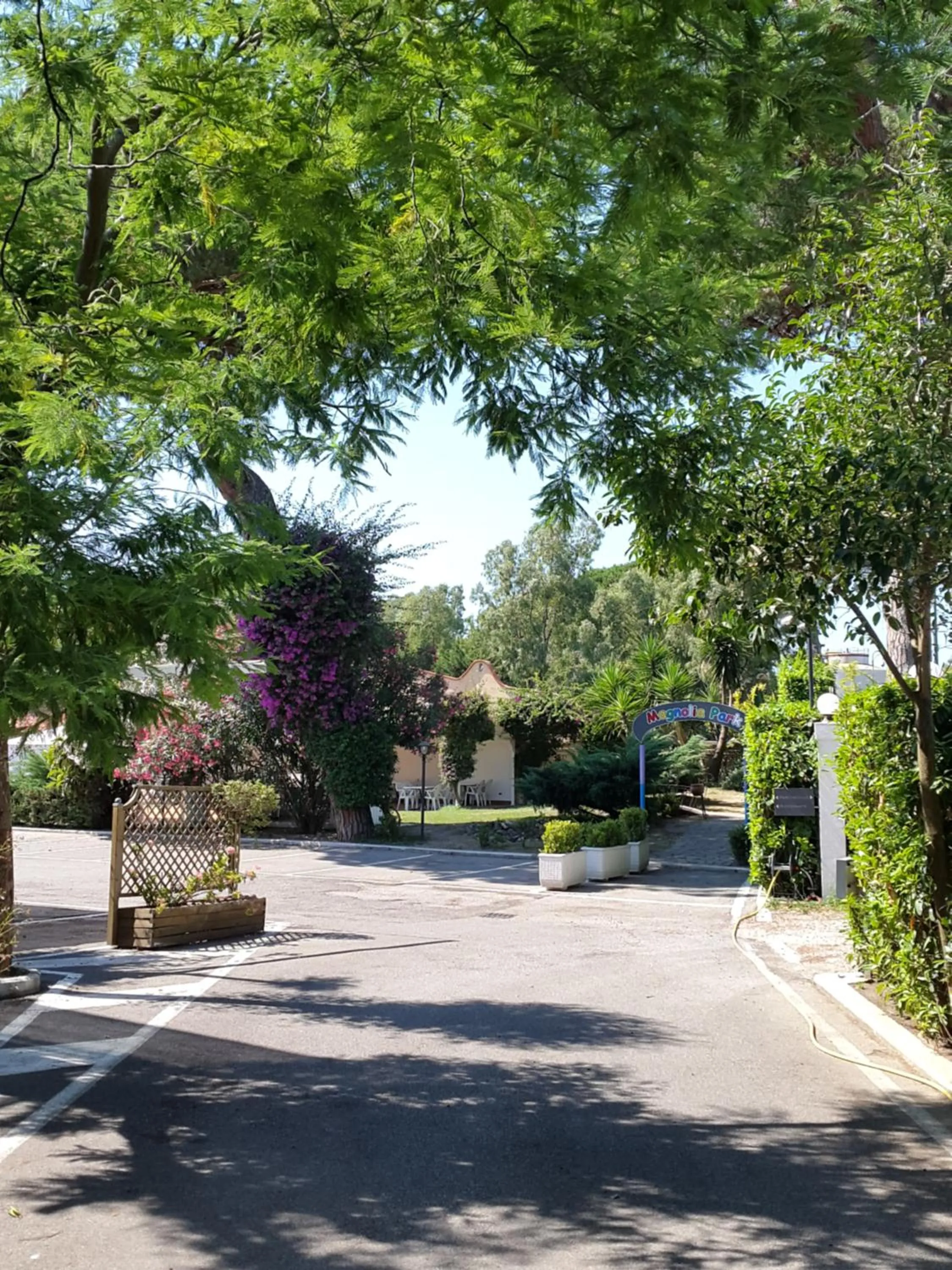 Garden in Hotel Mediterraneo