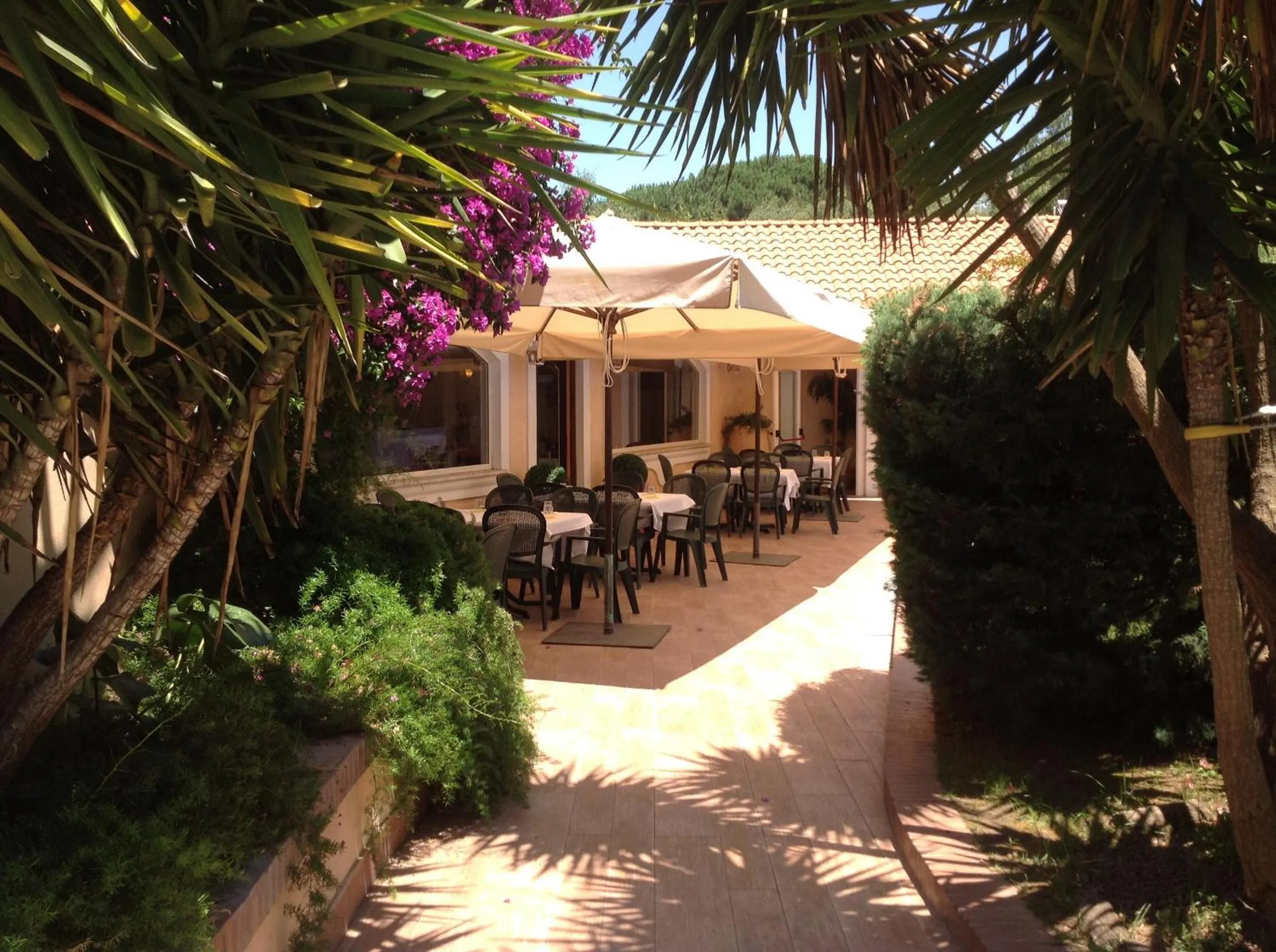 Restaurant/places to eat in Hotel Mediterraneo