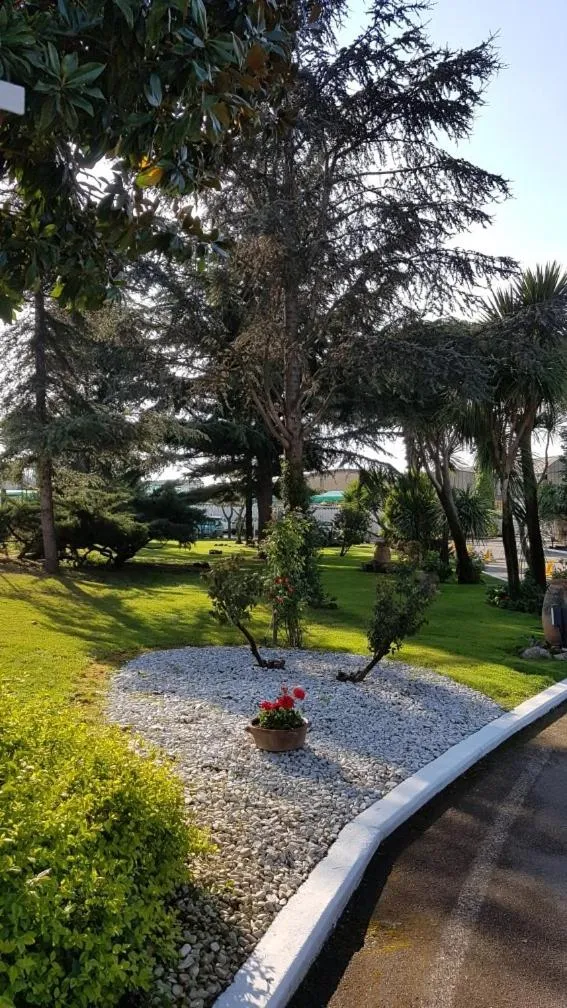 Garden in Hotel Mediterraneo