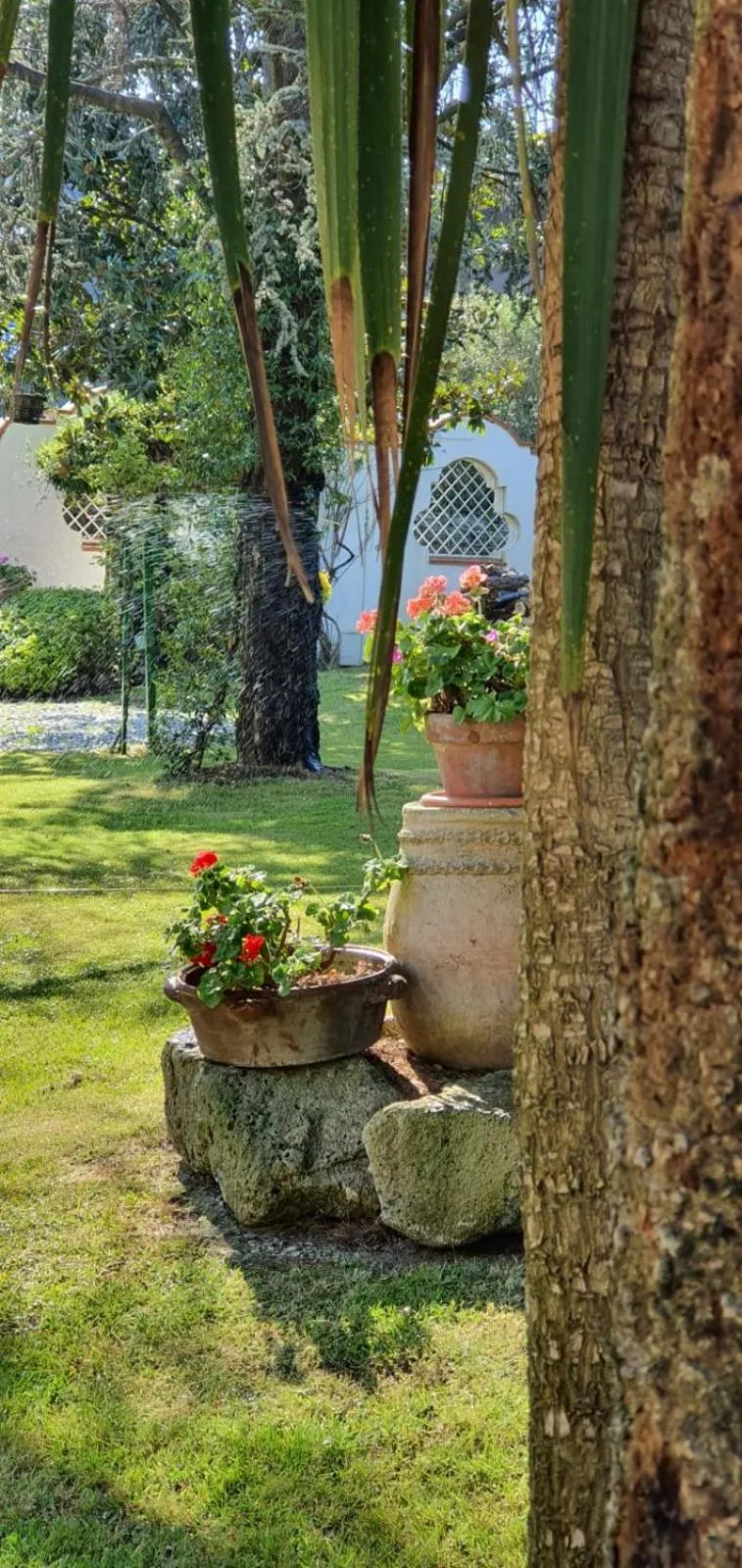 Garden in Hotel Mediterraneo