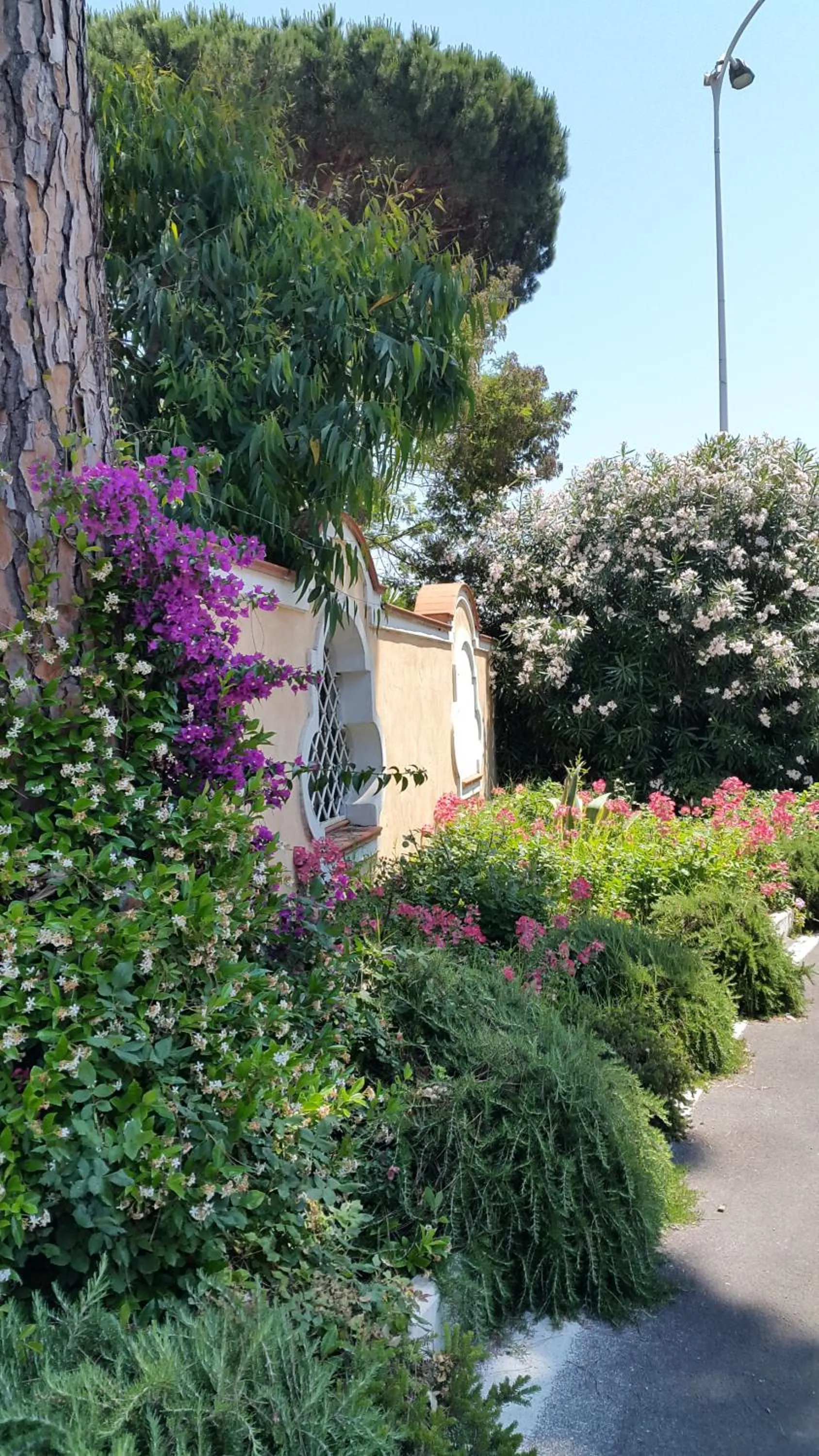 Garden in Hotel Mediterraneo