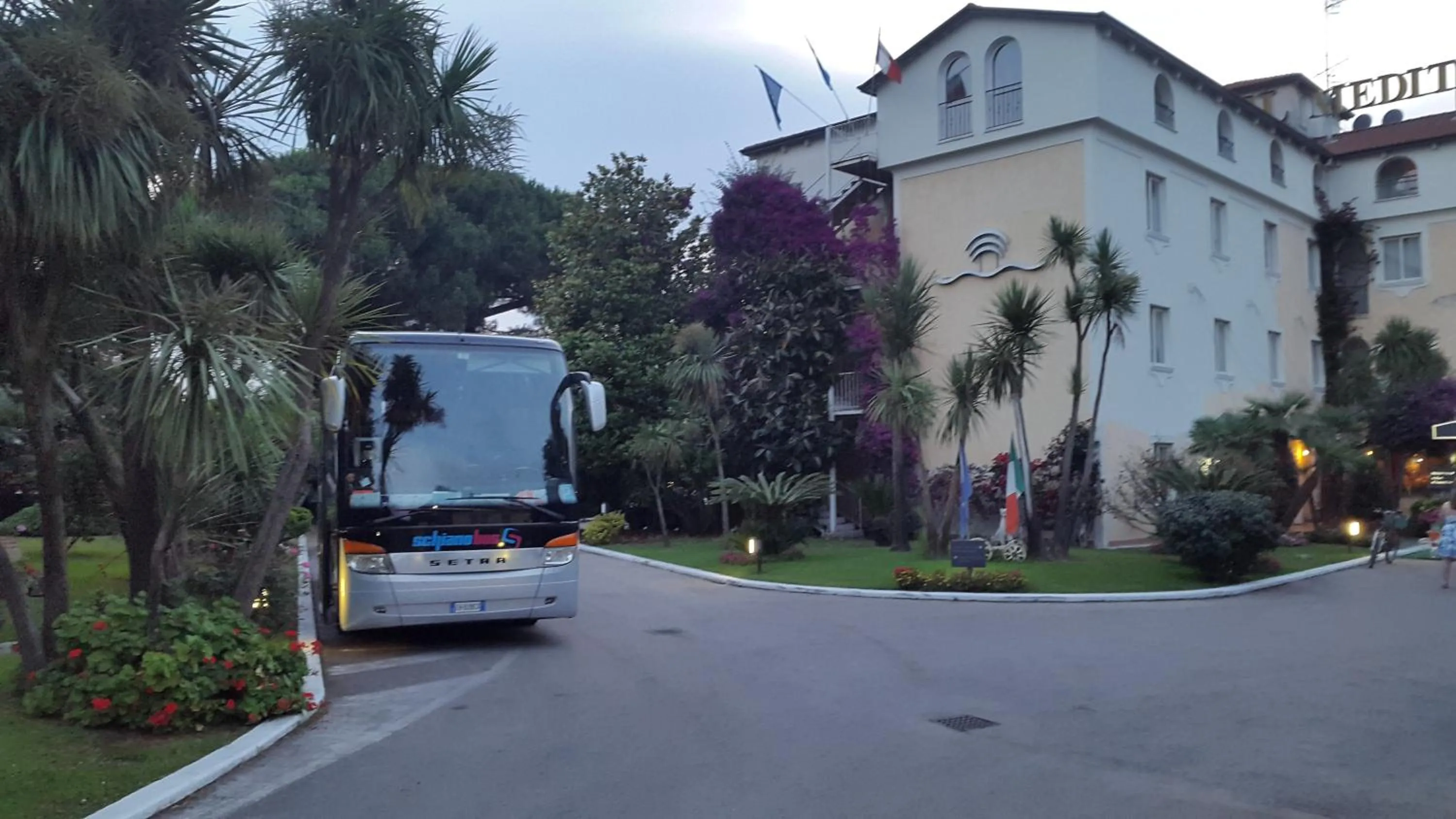 Activities in Hotel Mediterraneo