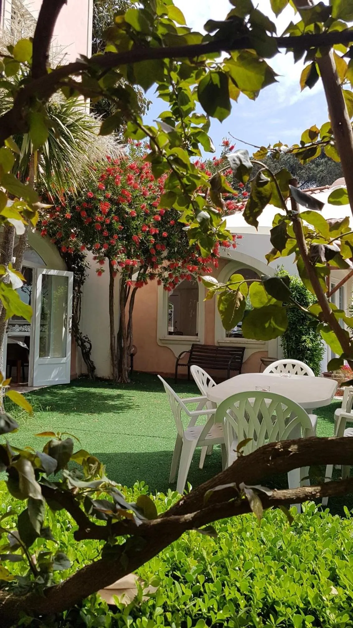 Garden view in Hotel Mediterraneo