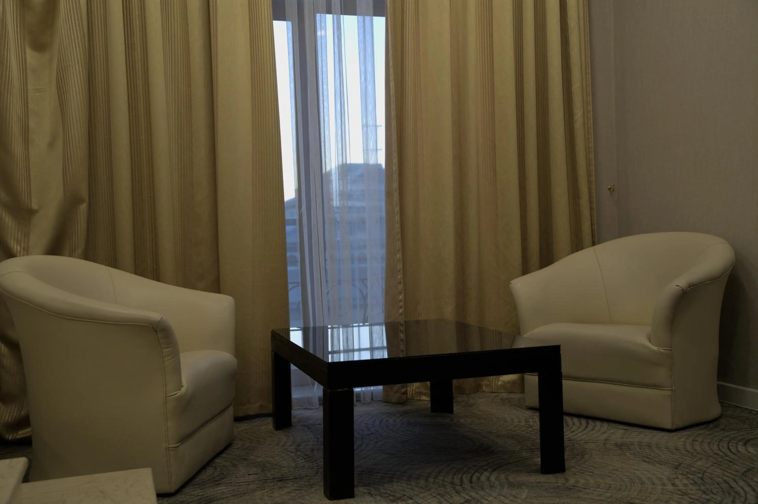 Living room in Premier Hotel Baku