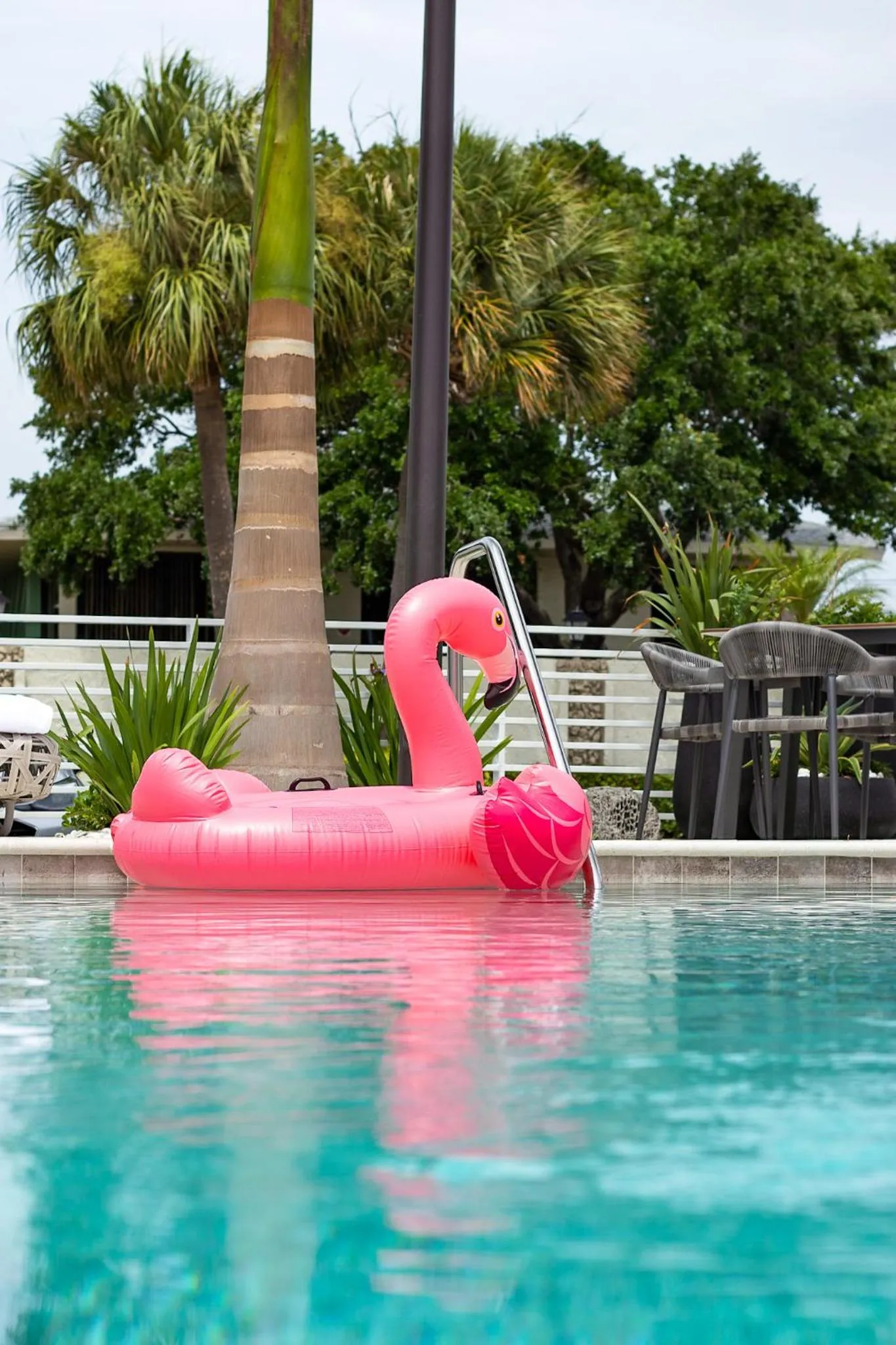 Swimming pool in The Saint Hotel