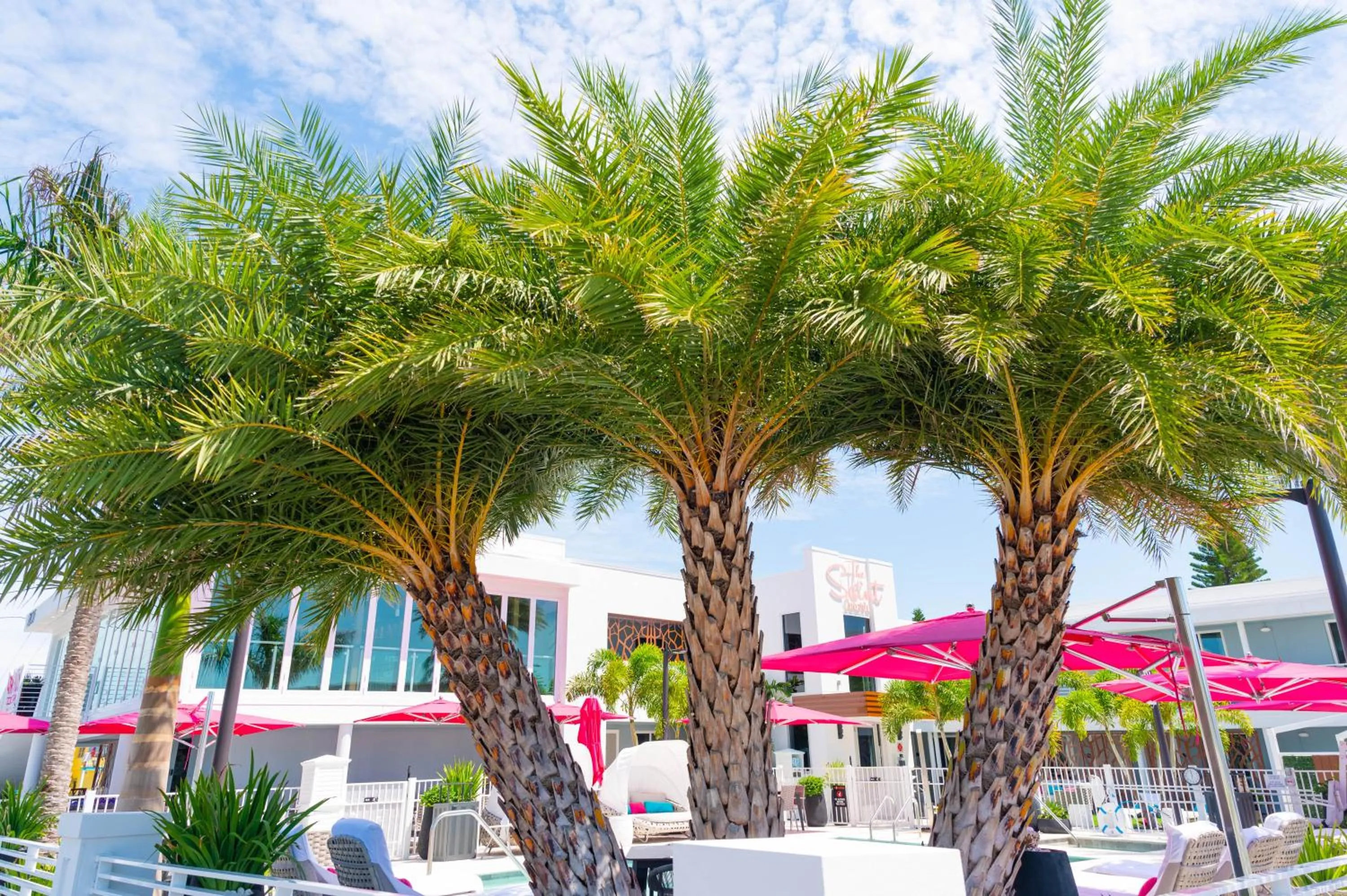 Swimming pool in The Saint Hotel