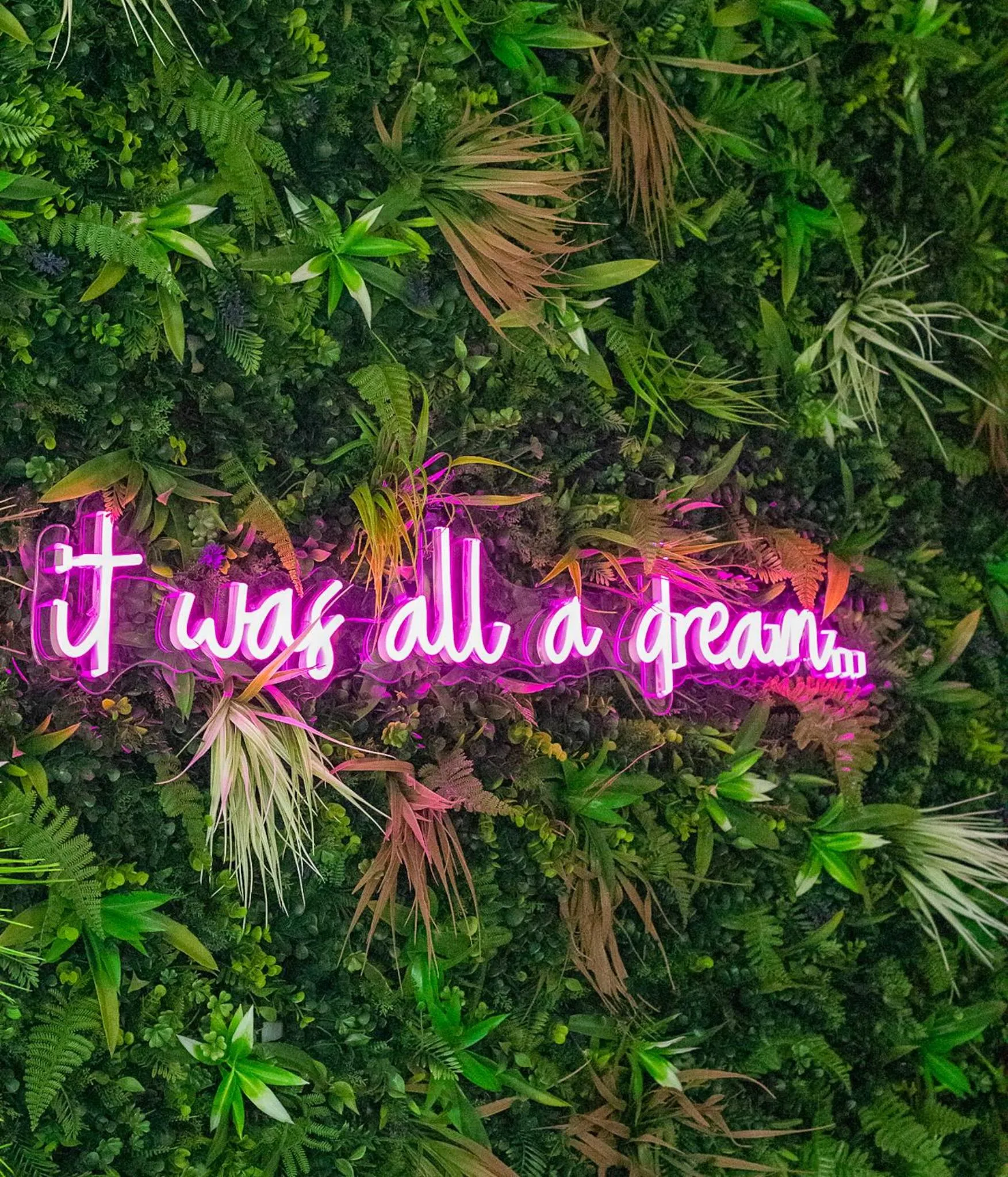 Restaurant/places to eat in The Saint Hotel