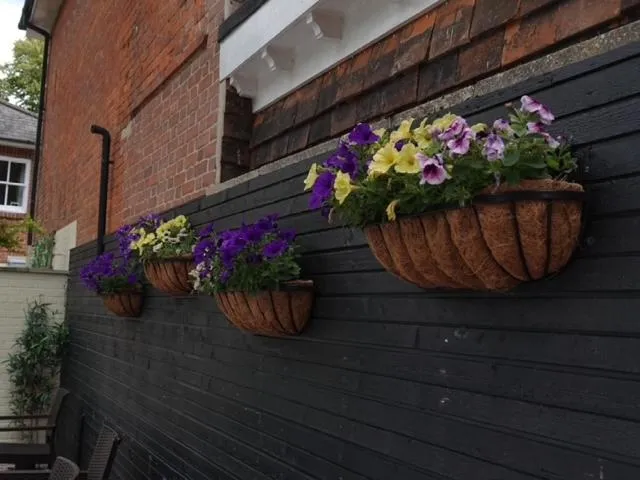 Garden in East Walls Hotel