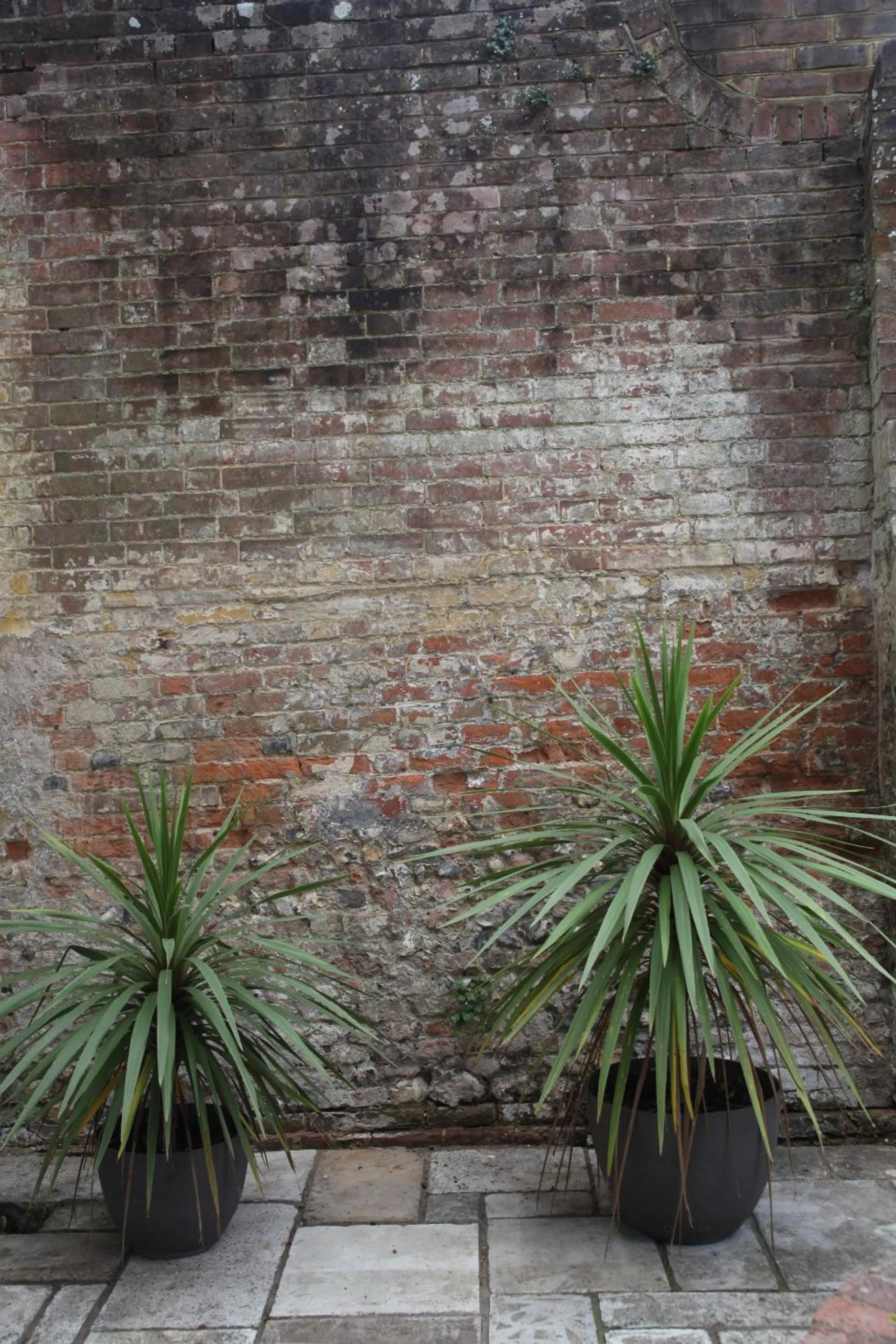 Garden in East Walls Hotel
