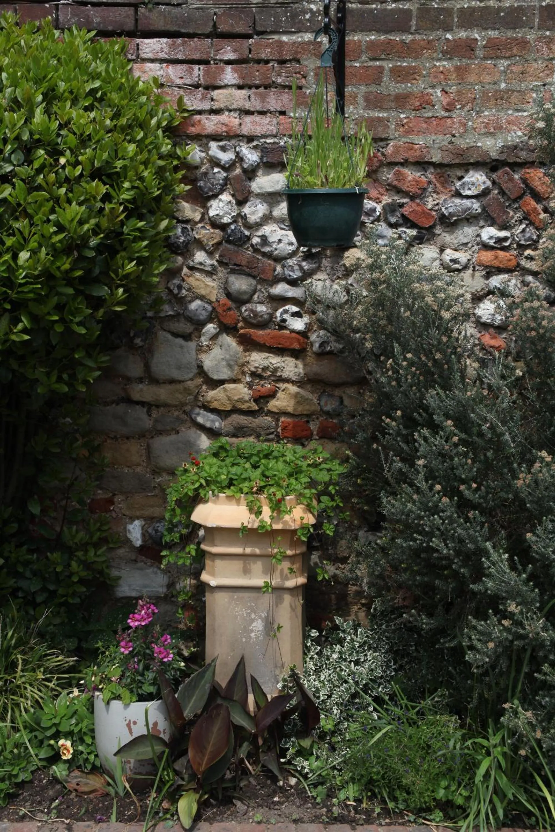 Garden in East Walls Hotel