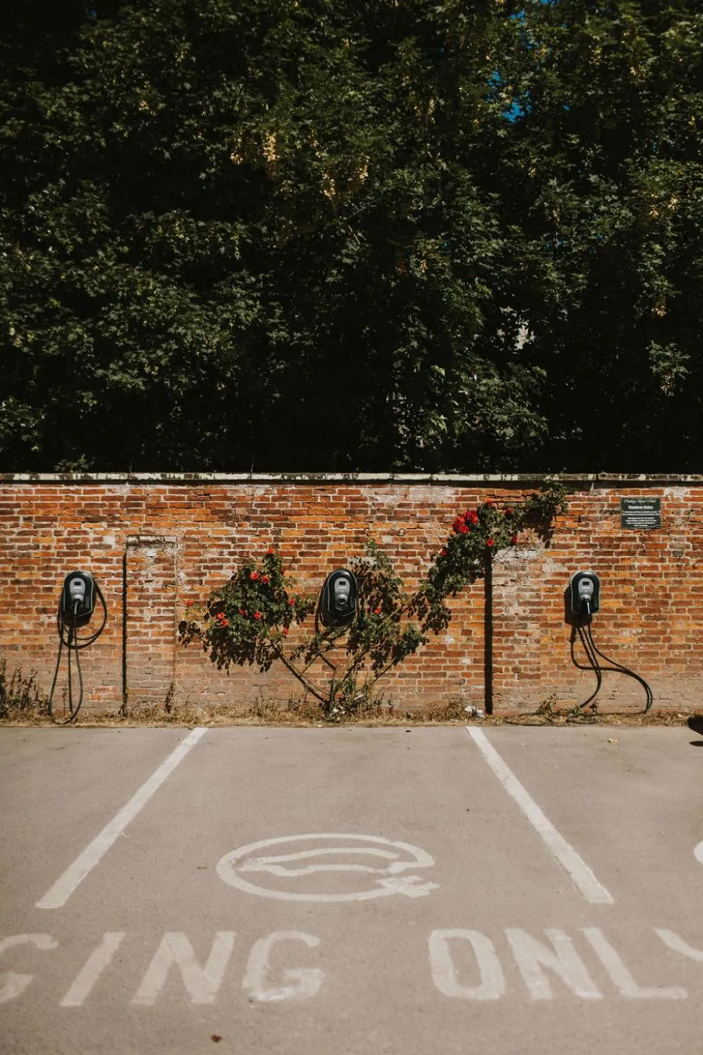 Property building in Healing Manor Hotel