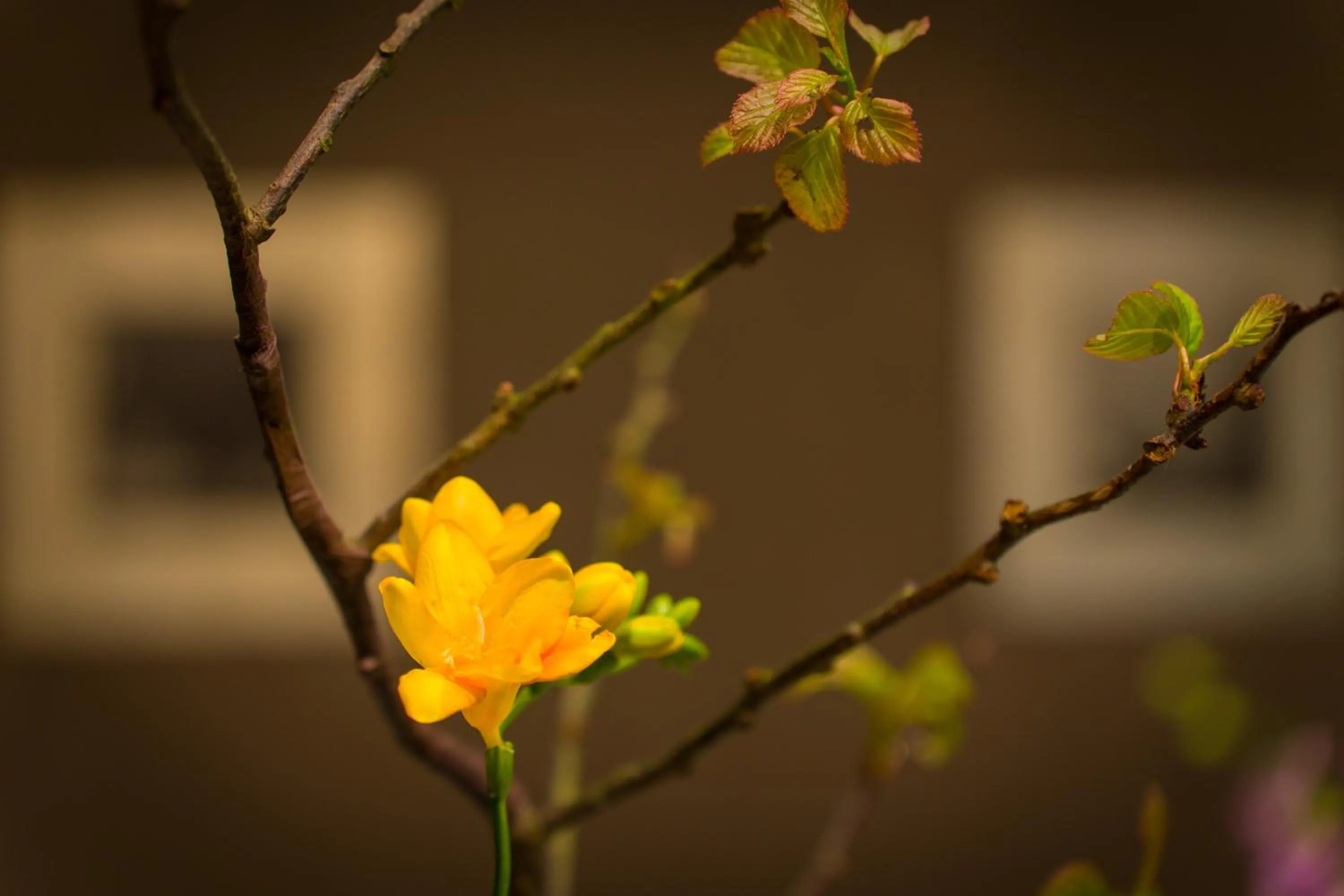 Decorative detail in les suites taipei ching cheng