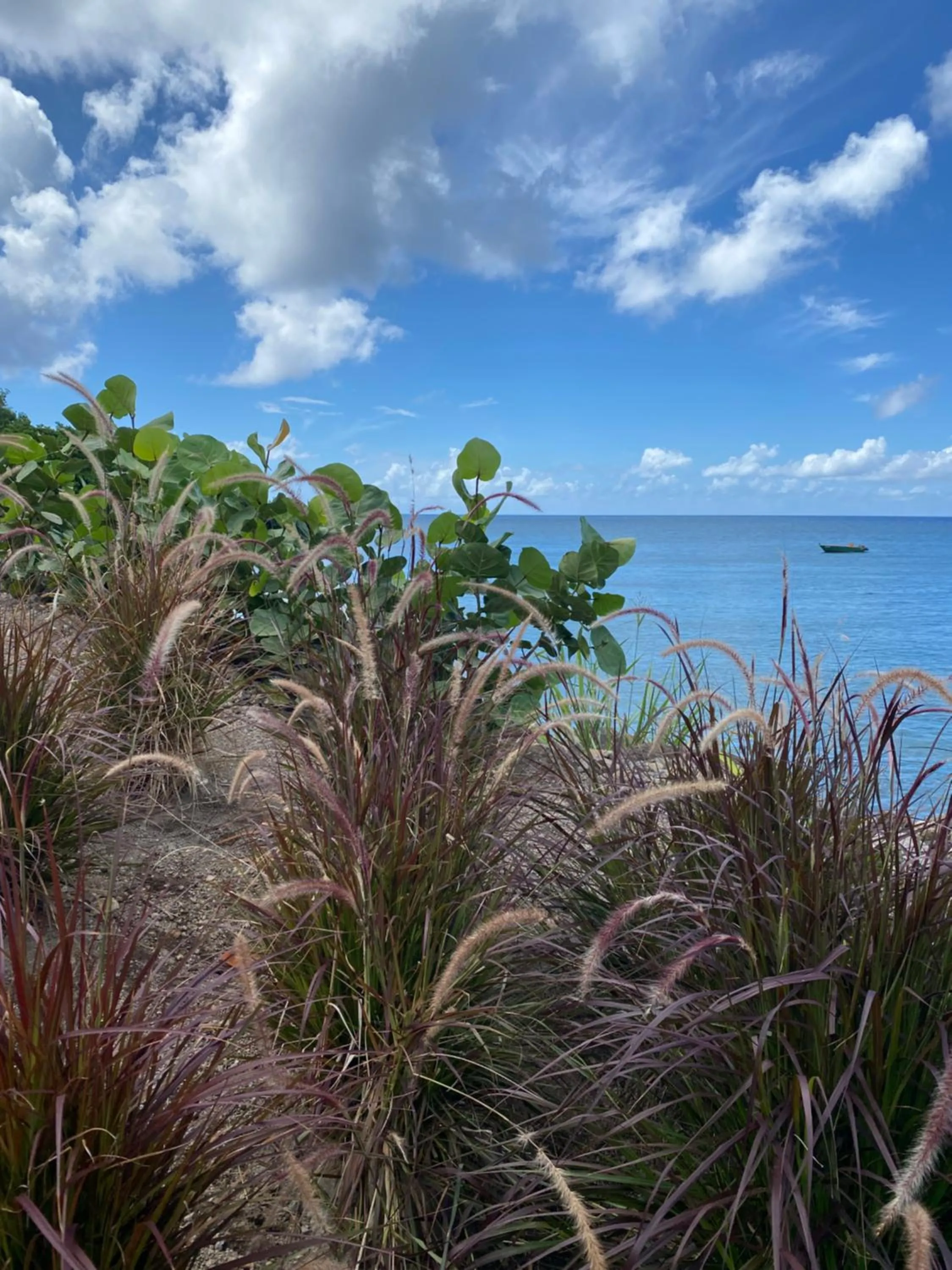 Garden in Sunset Reef St. Kitts