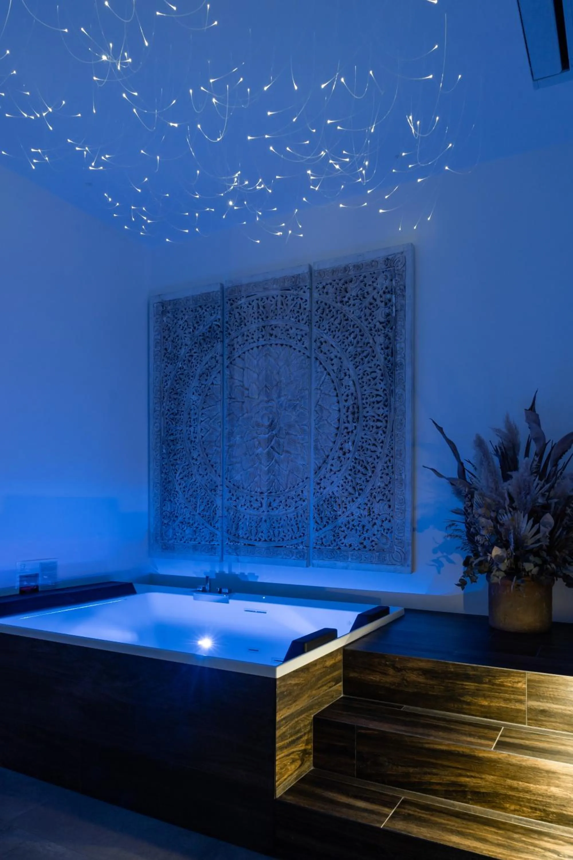 Nest House & Relax