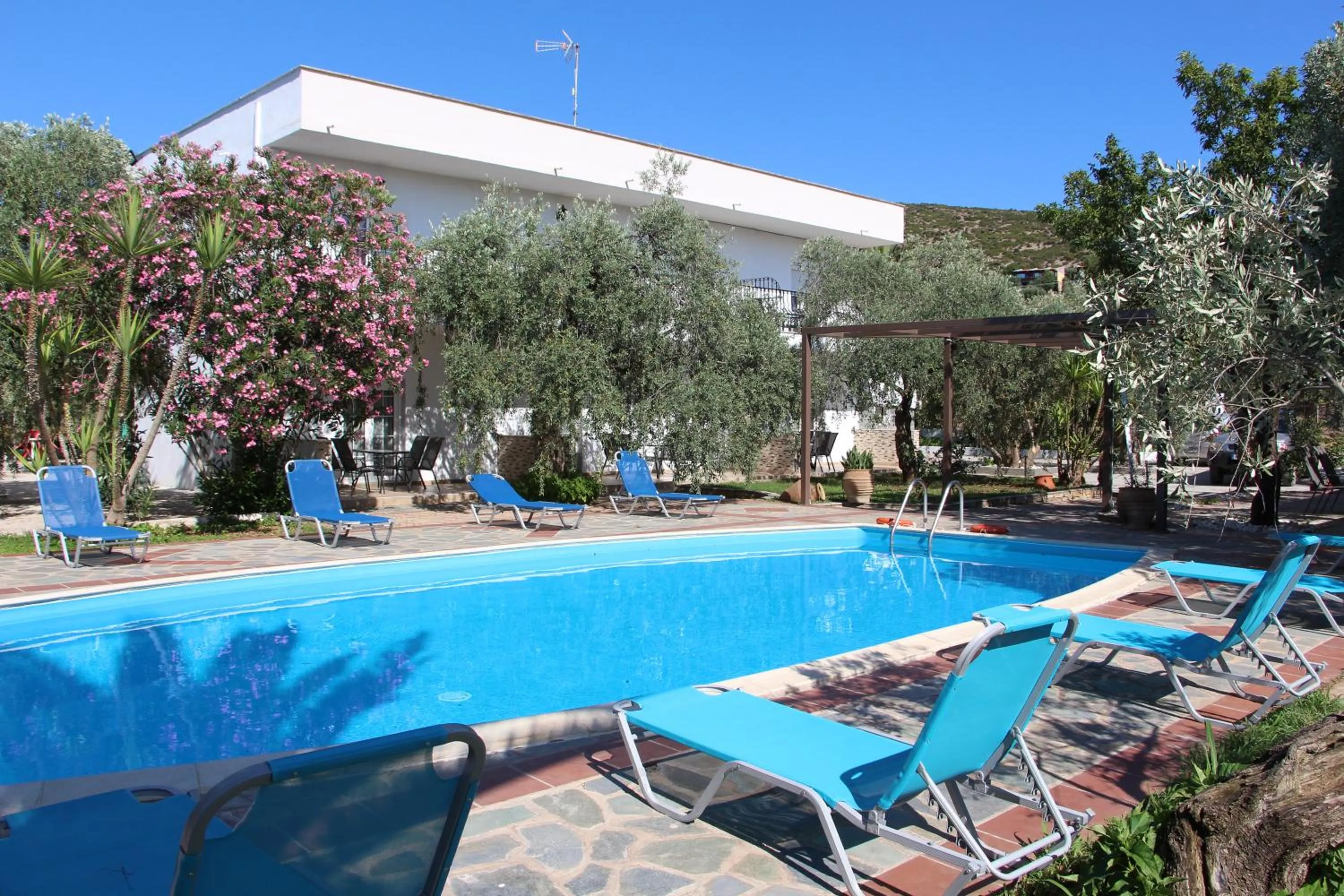 Garden in VILLA IATROU