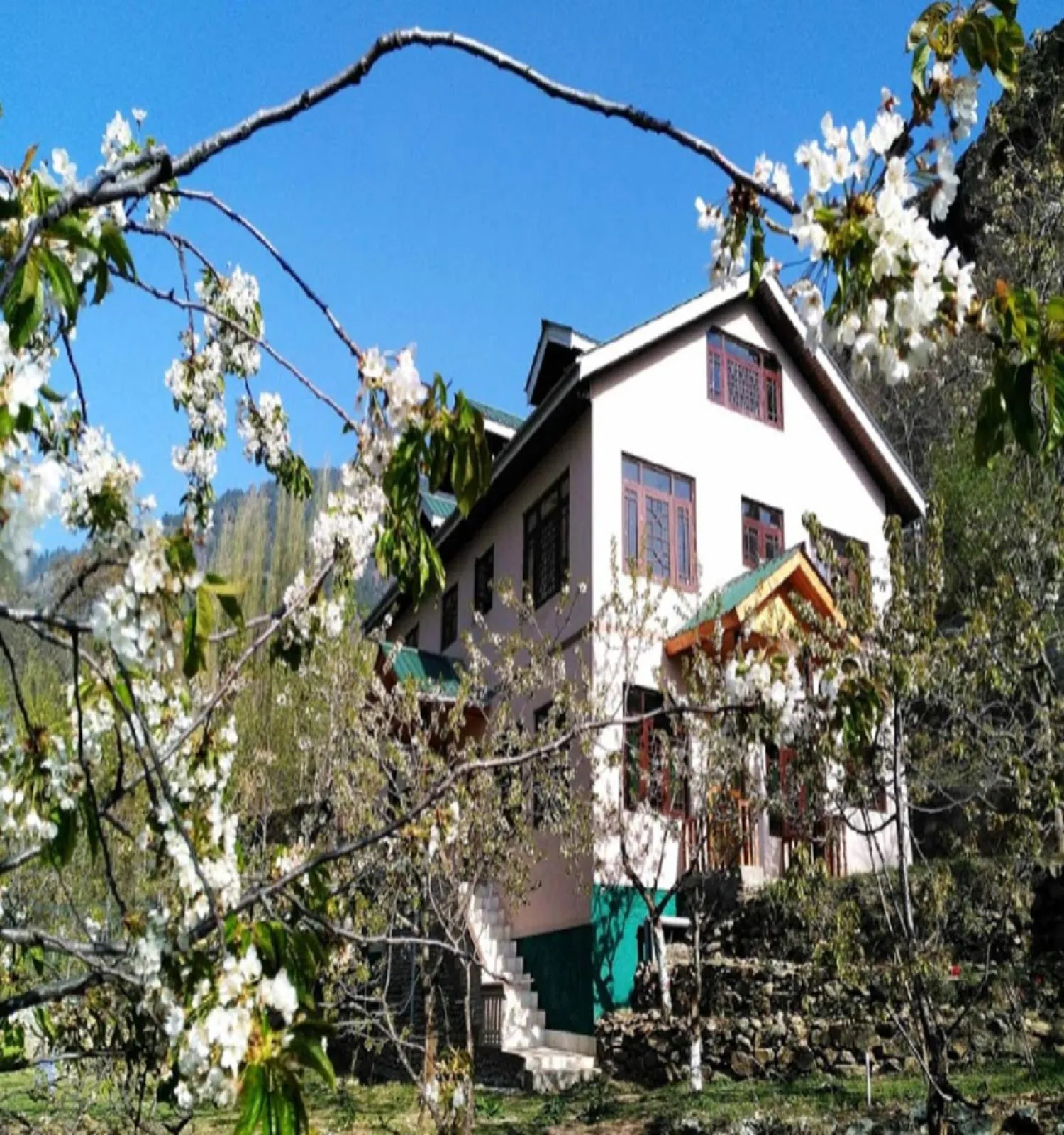 Garden view in Cherrytree Resort