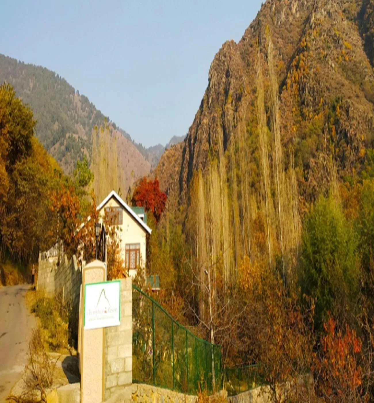 Natural landscape in Cherrytree Resort