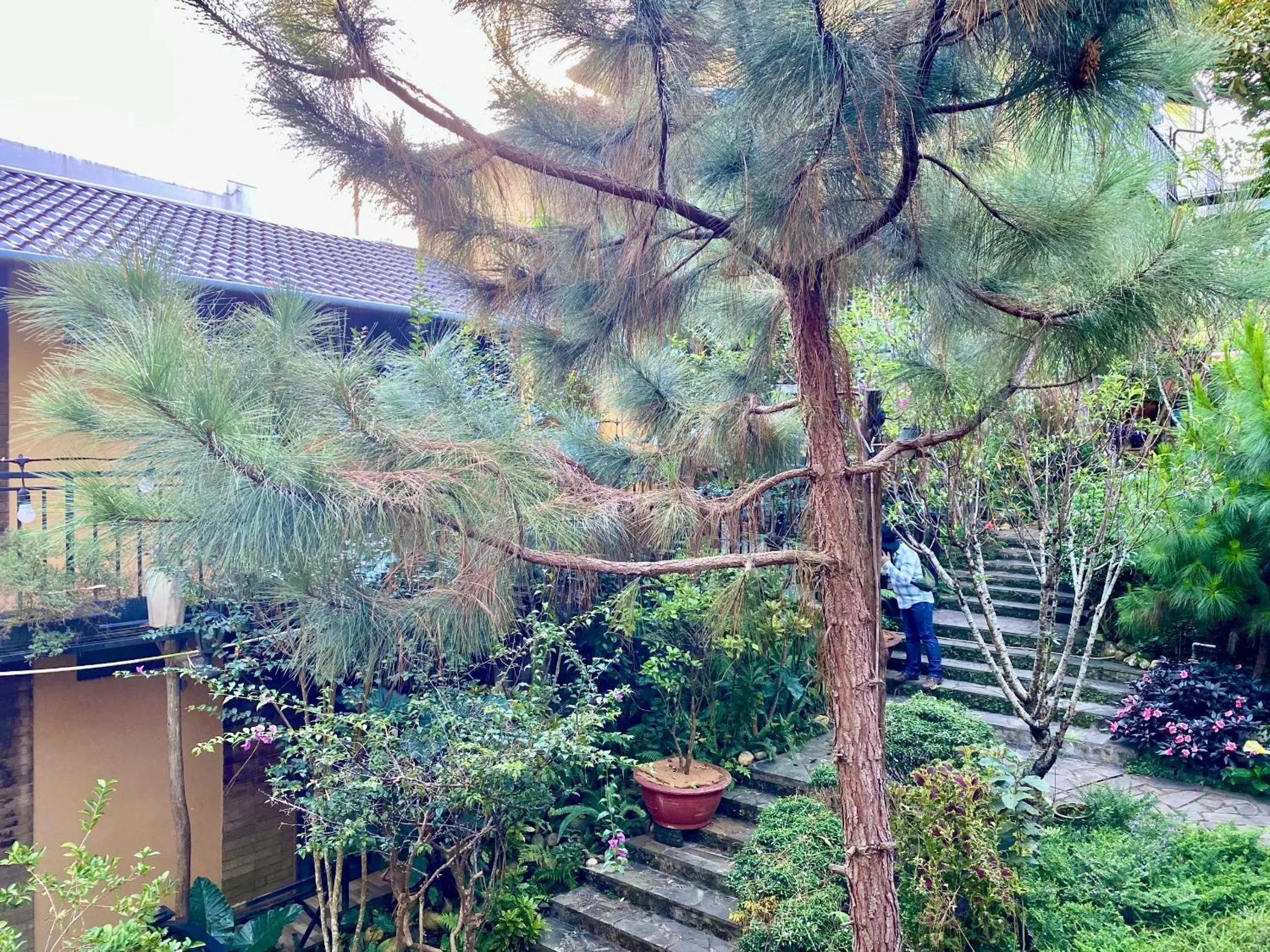 BAZAN HOME - Hotel & Bungalow