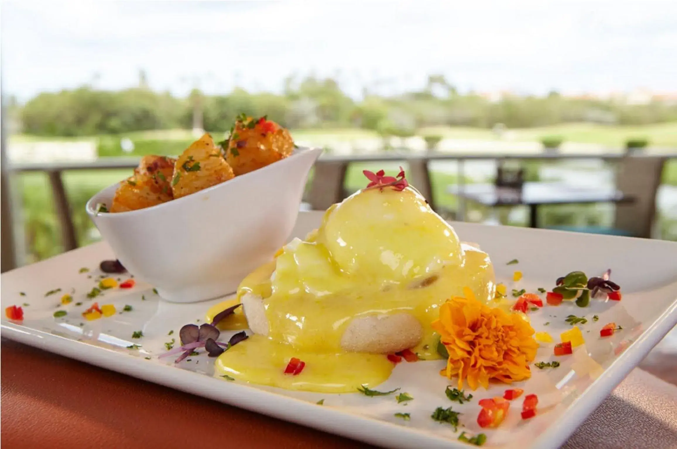 Buffet breakfast in Divi Village Golf and Beach Resort Buffet breakfast in Divi Village Golf and Beach Resort