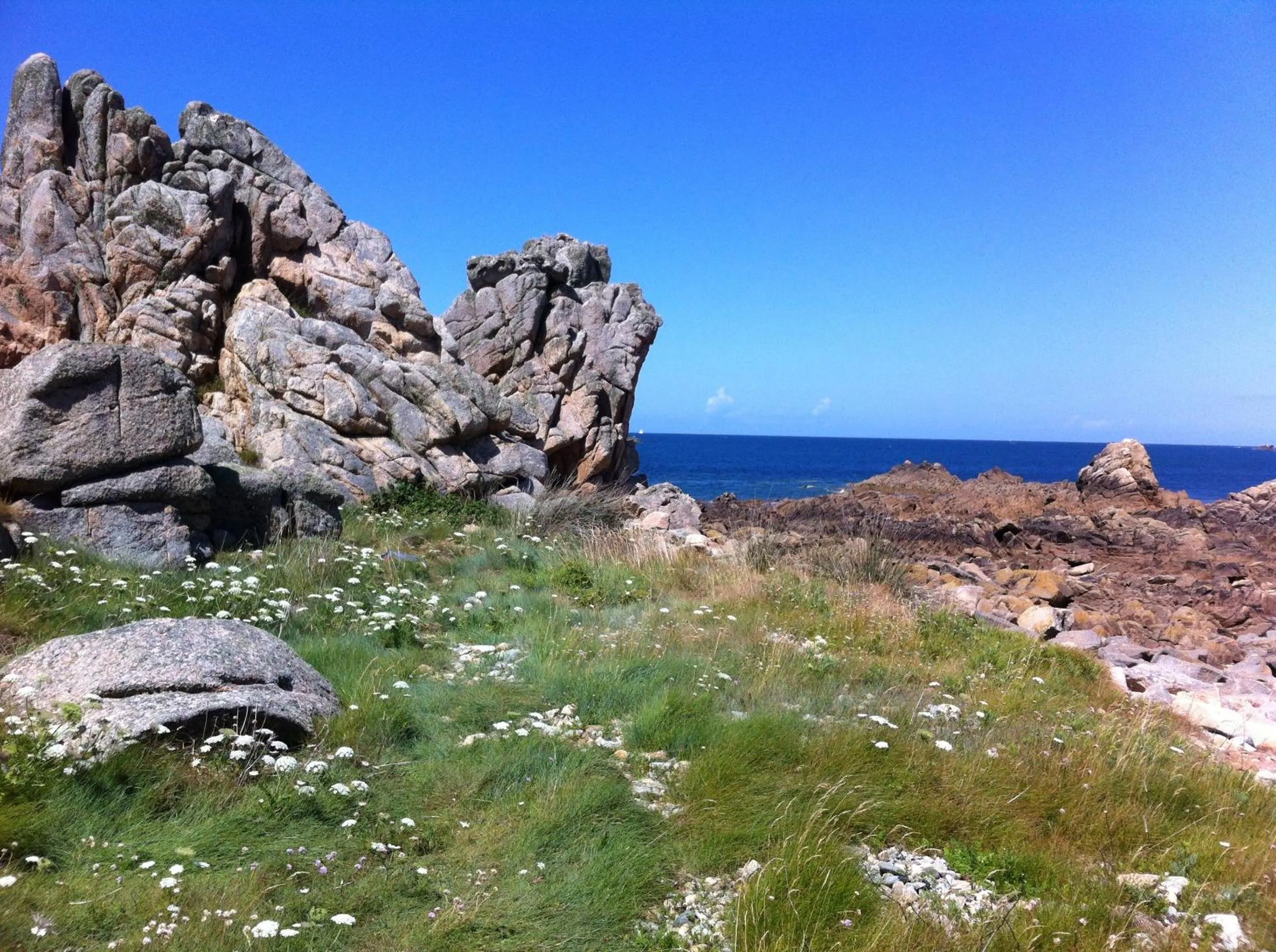 Natural landscape in Invitation au Rivage