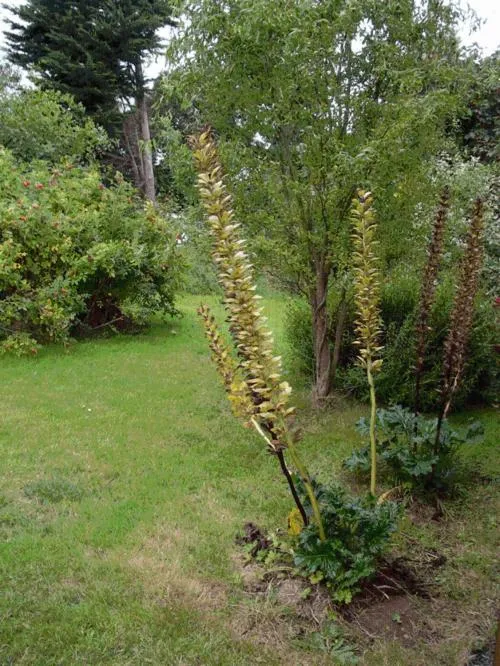 Garden in Invitation au Rivage