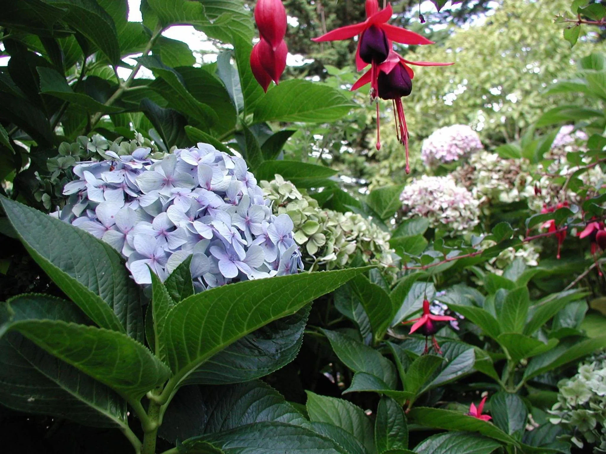 Garden in Invitation au Rivage