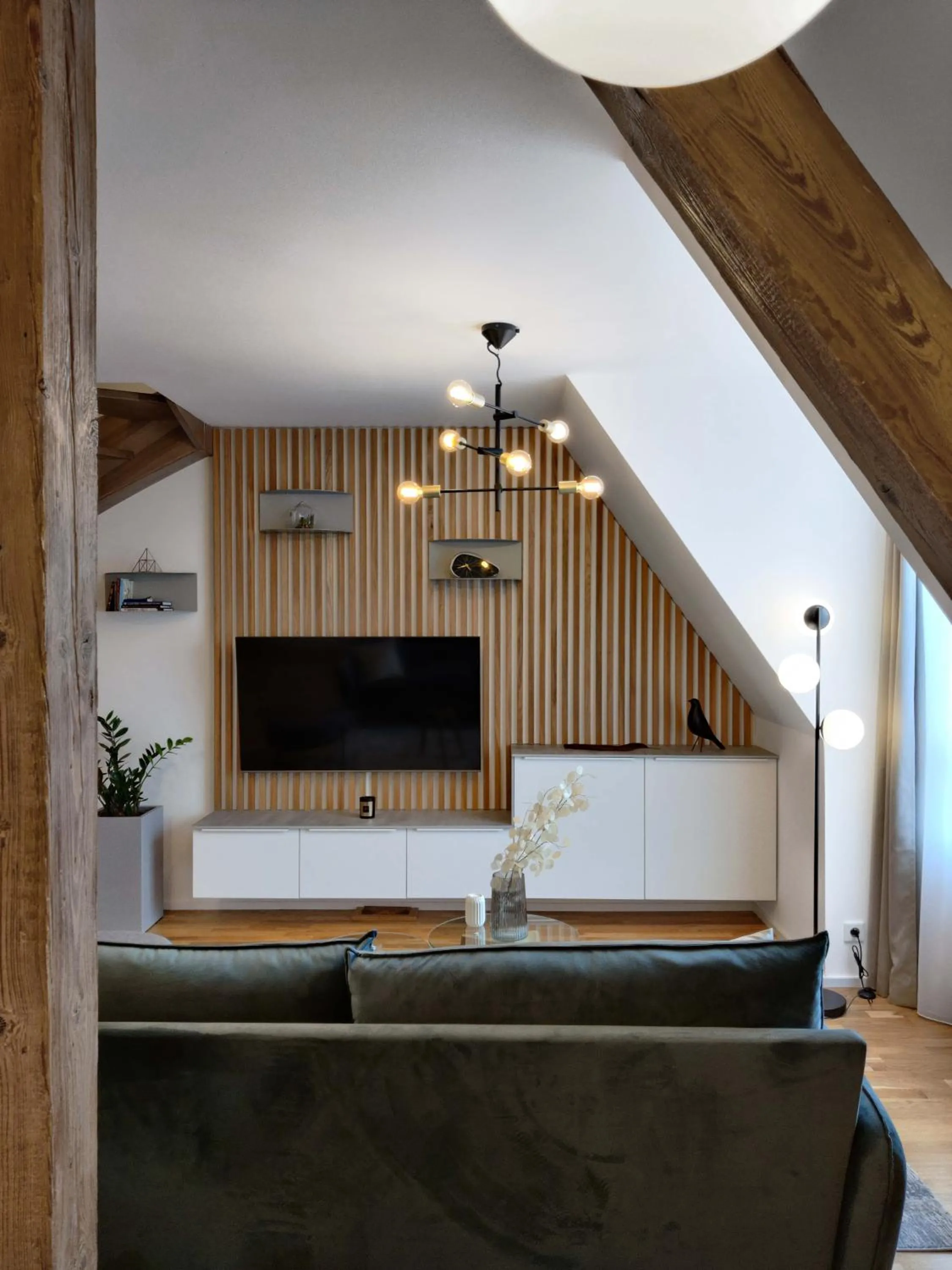 TV and multimedia in Old Town Museum Apartment