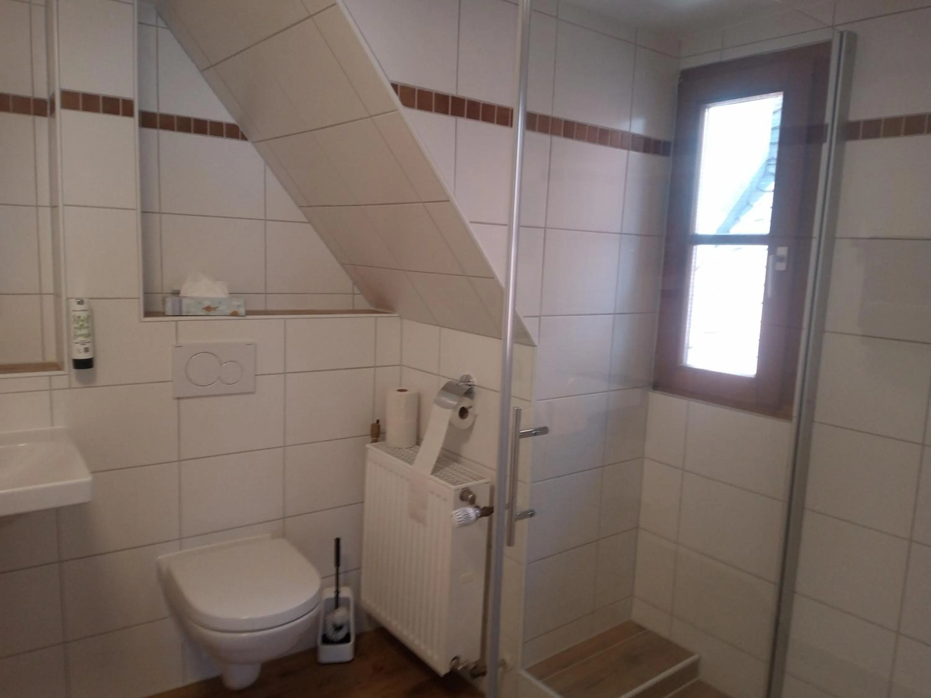 Shower in Hotel-Restaurant Goldenes Lamm