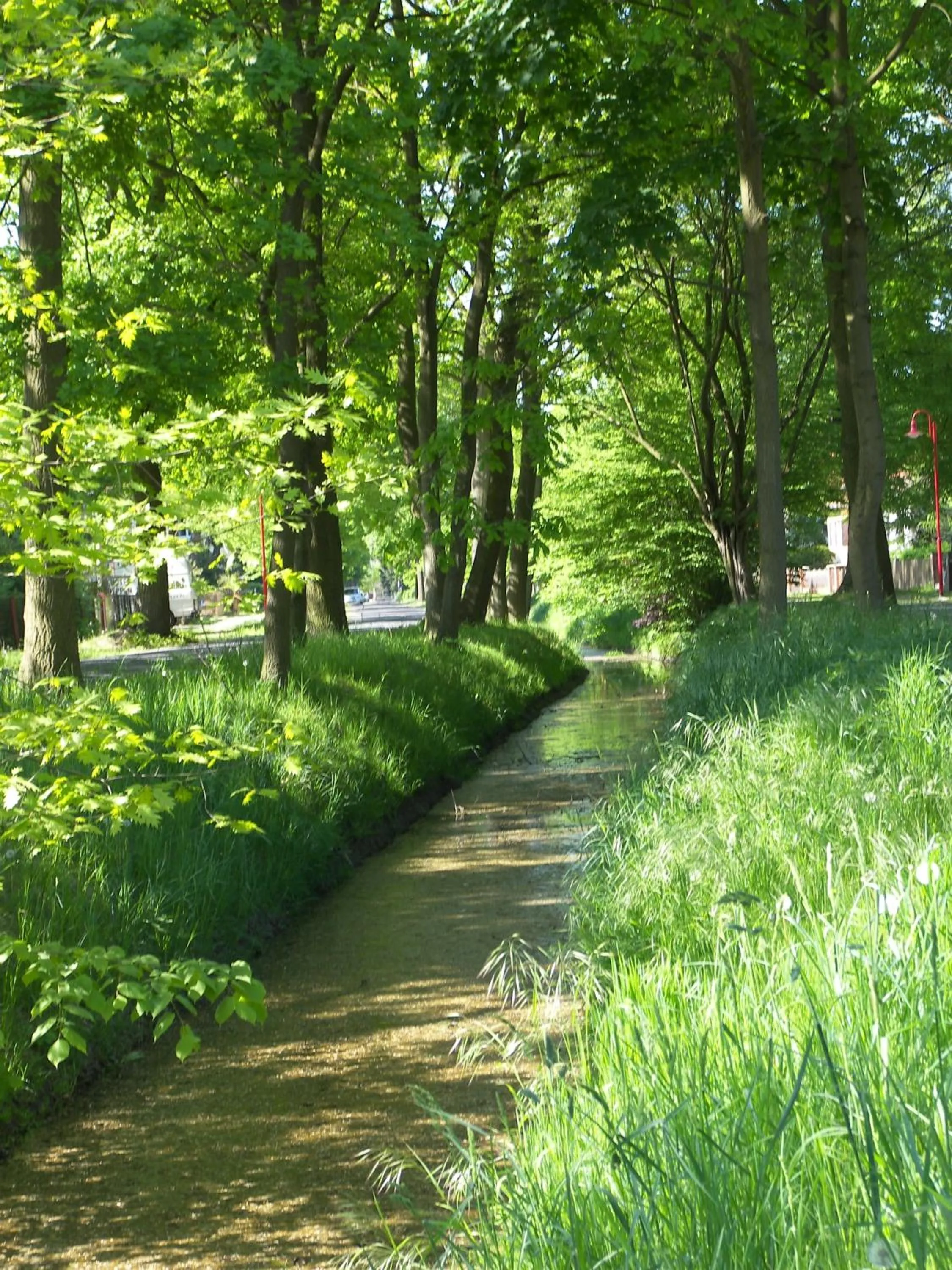 Natural landscape in Port Inn Hotel