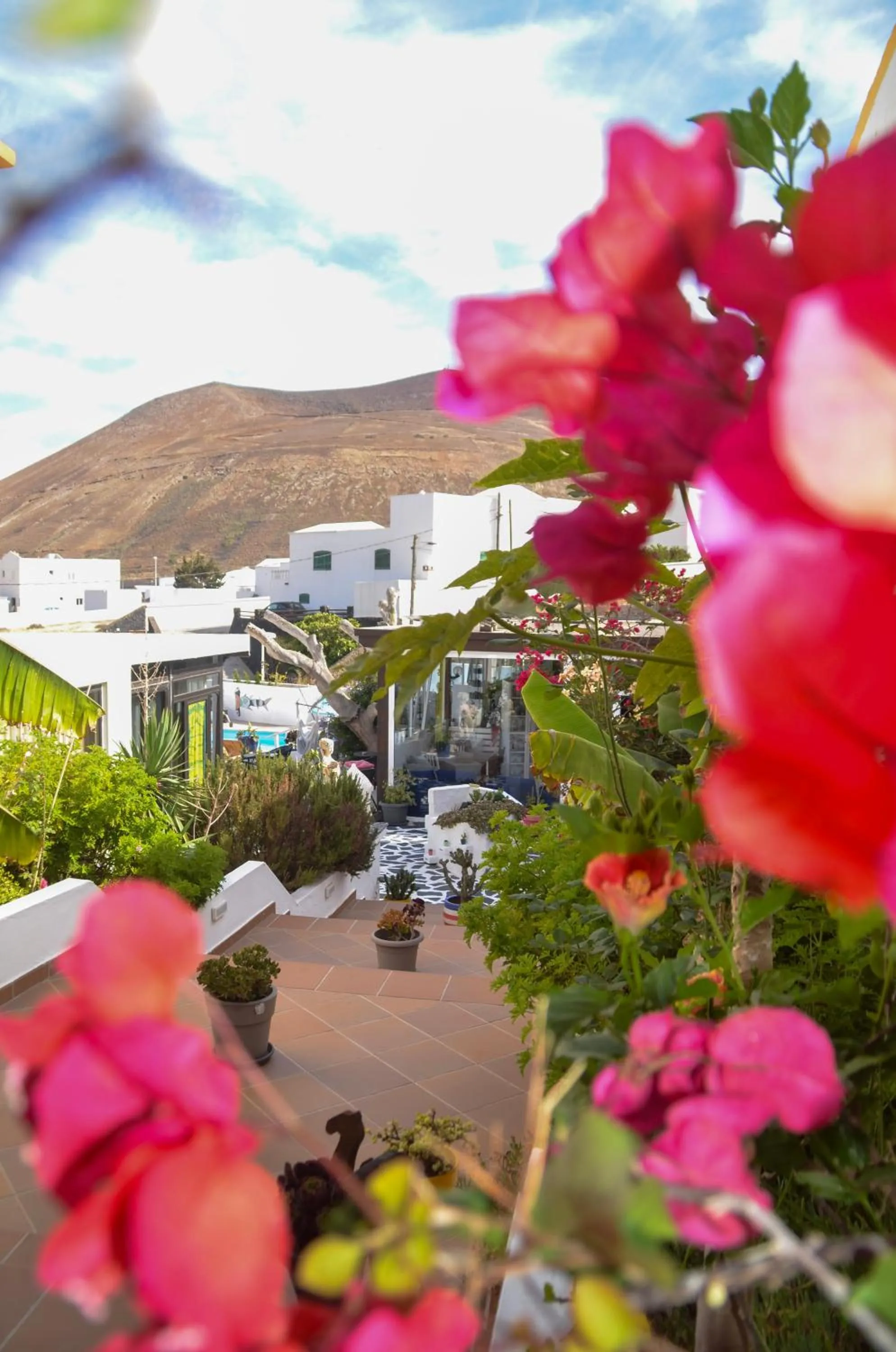 Spring in HOTELITO RURAL GA7COLORES only adult