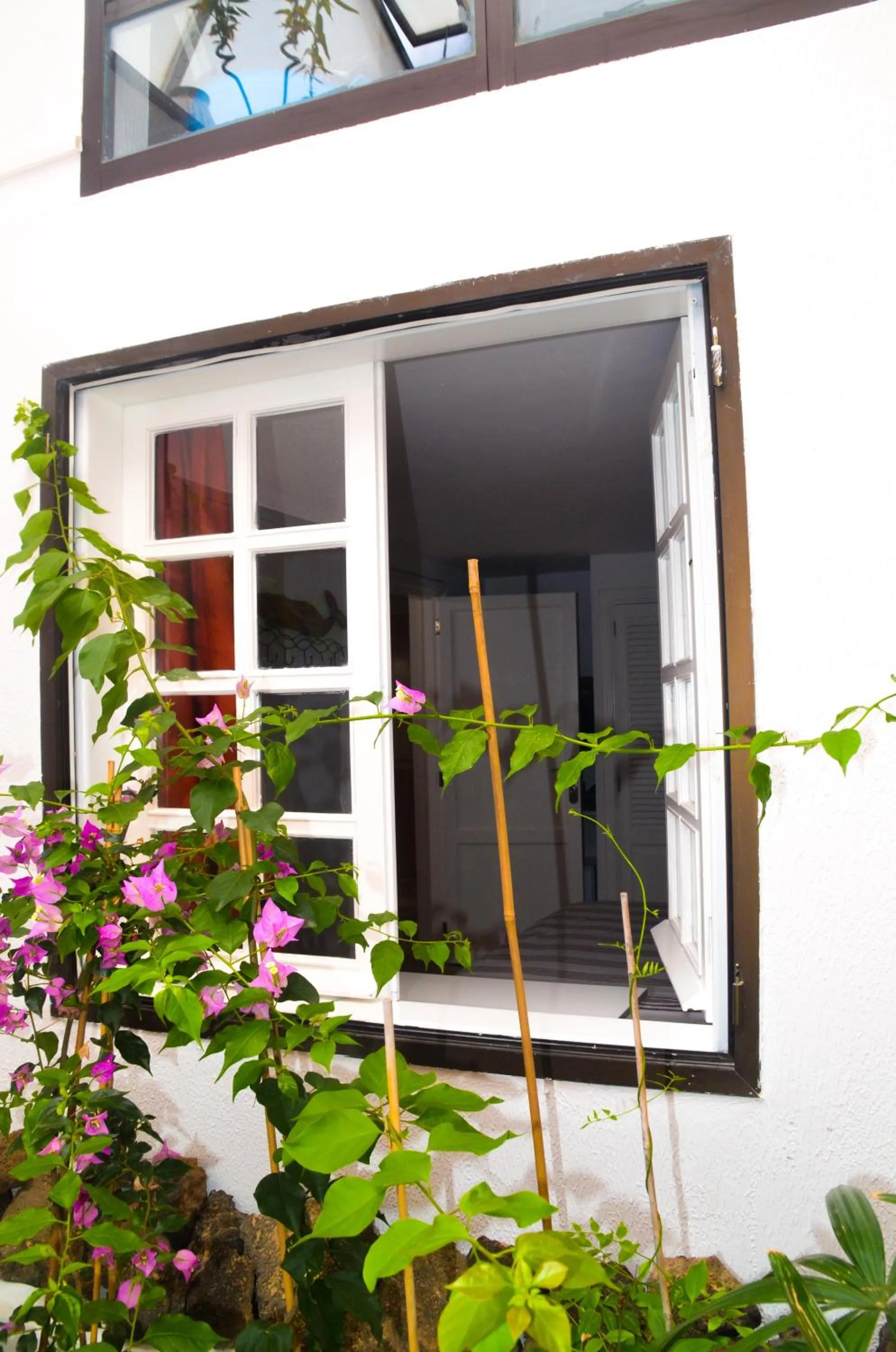 View (from property/room) in HOTELITO RURAL GA7COLORES only adult