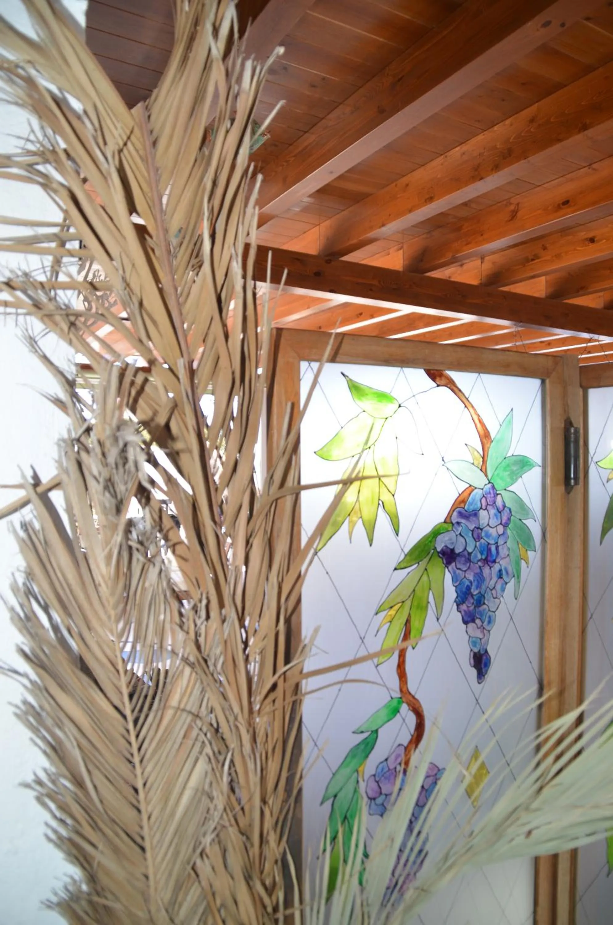 Patio in HOTELITO RURAL GA7COLORES only adult