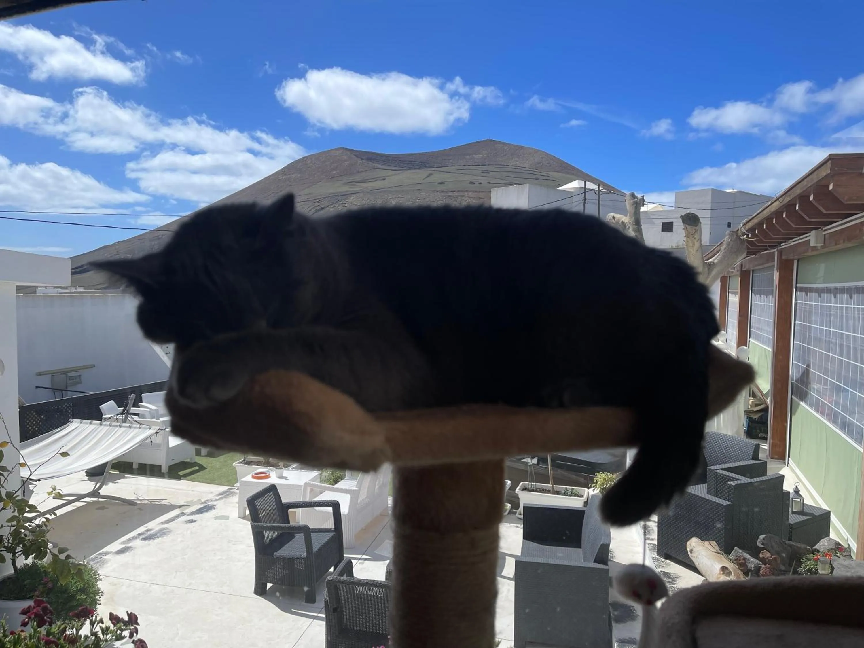 Patio in HOTELITO RURAL GA7COLORES only adult