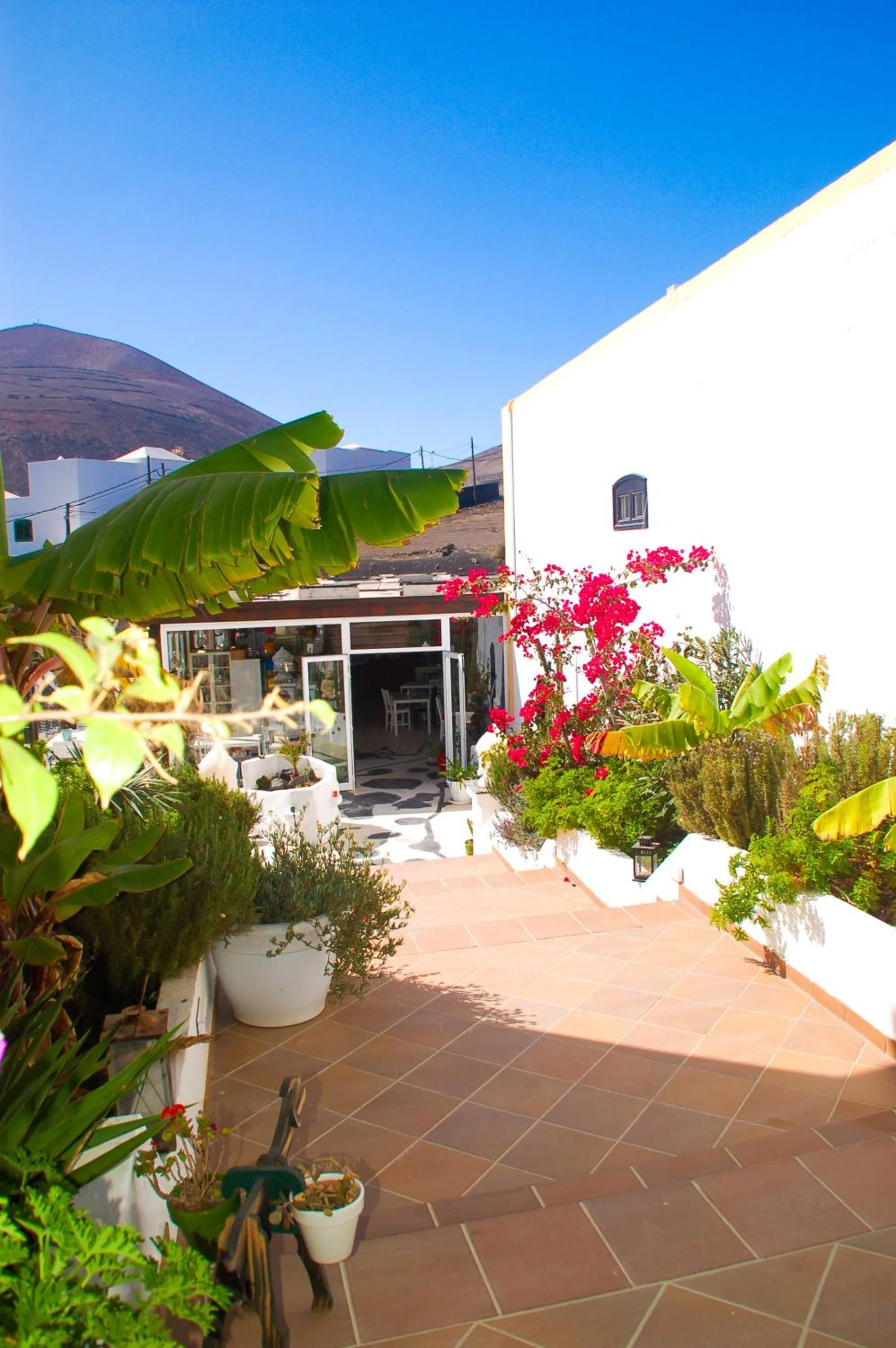 Property building in HOTELITO RURAL GA7COLORES only adult