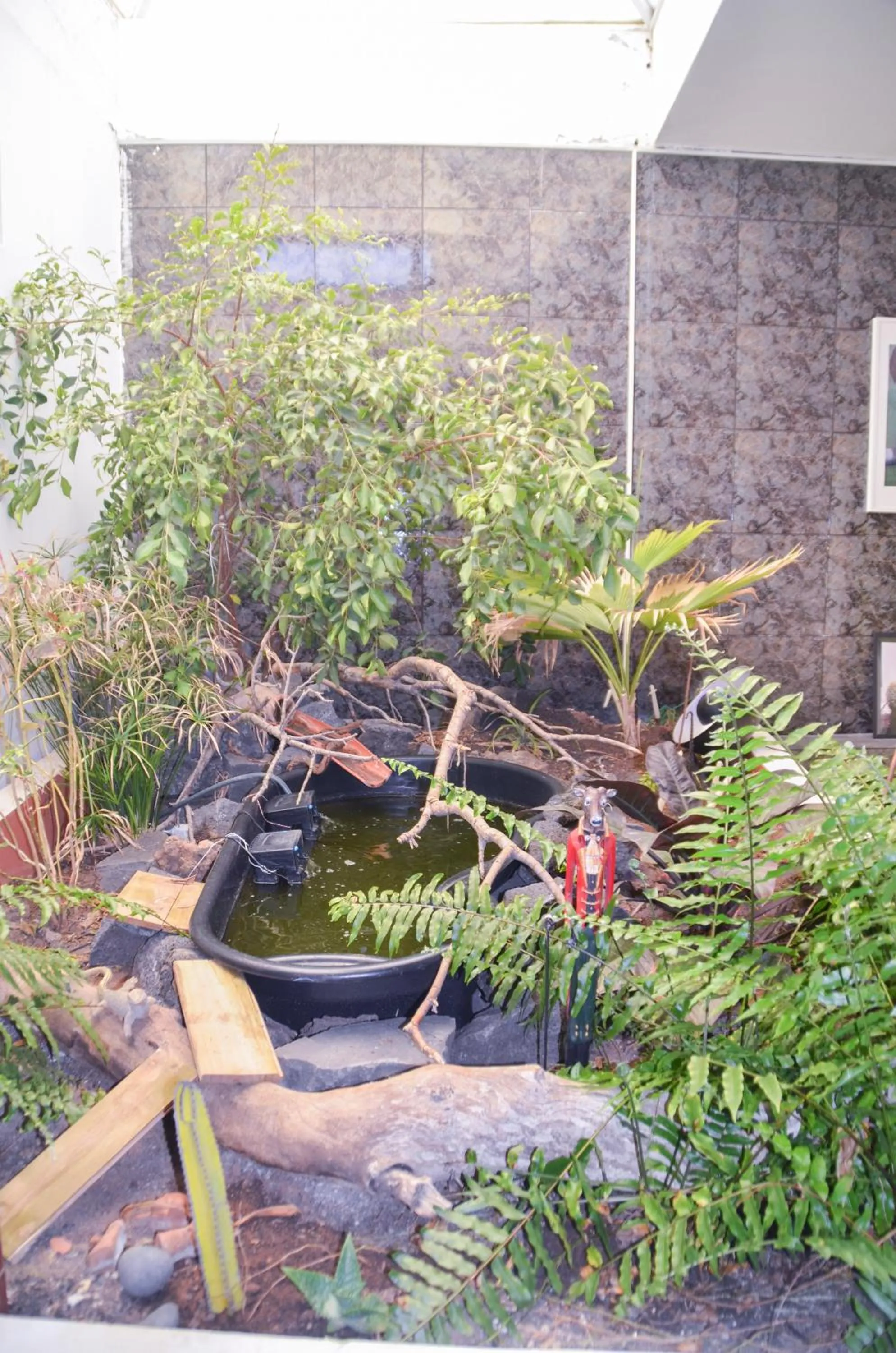 Patio in HOTELITO RURAL GA7COLORES only adult