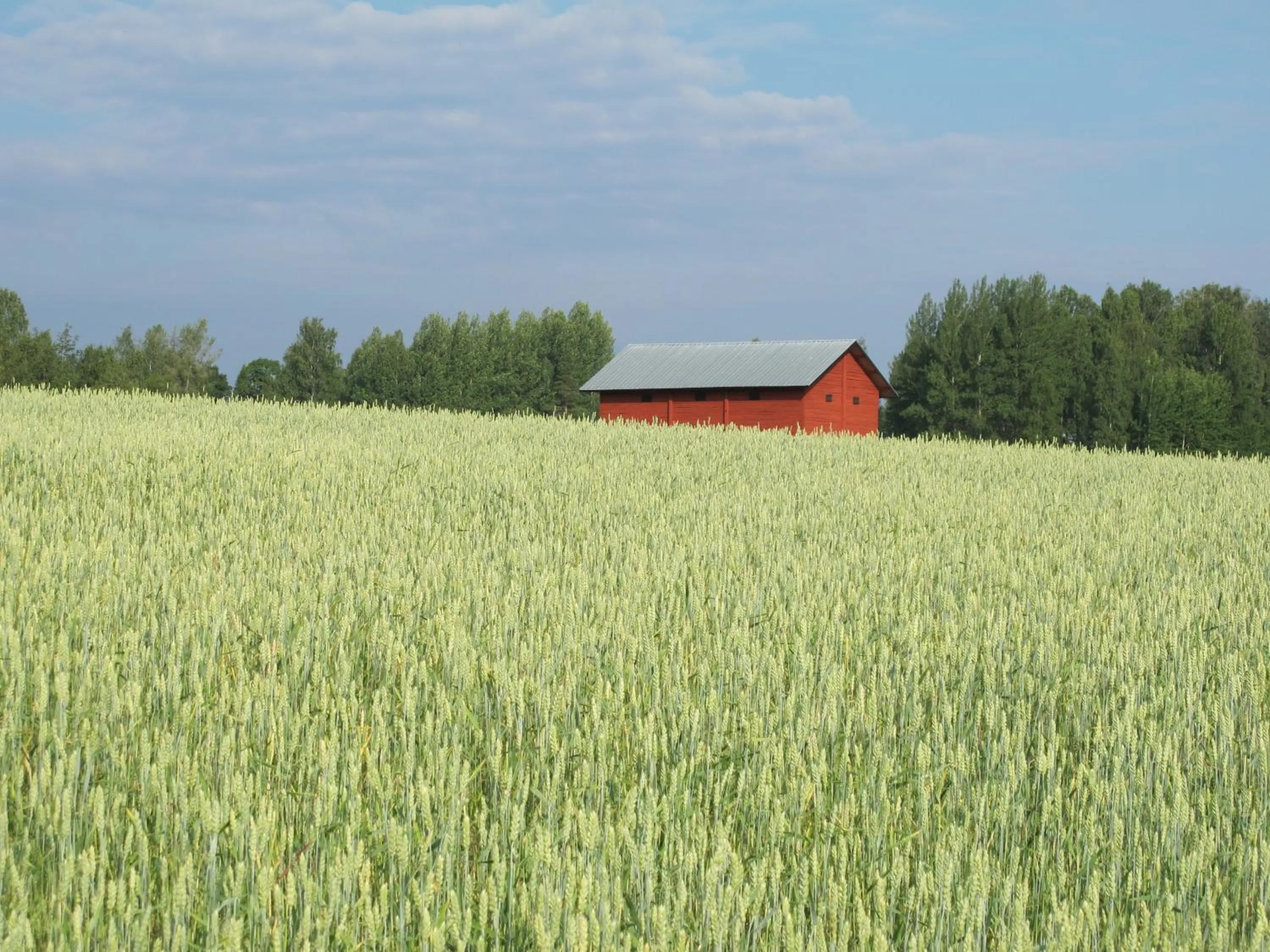 Natural landscape in Wij Trädgårdskök på Wij Trädgårdar