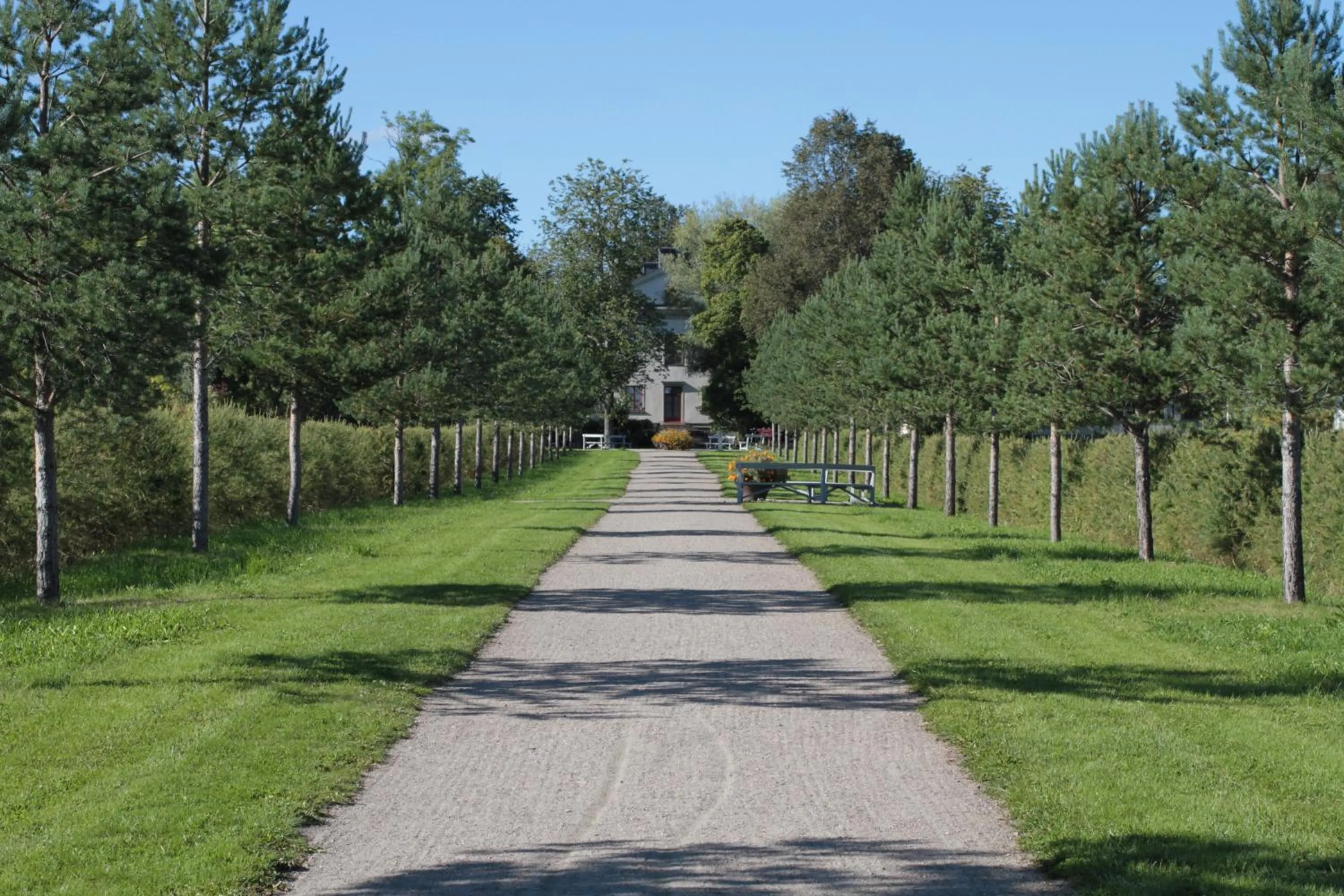 Garden in Wij Trädgårdskök på Wij Trädgårdar