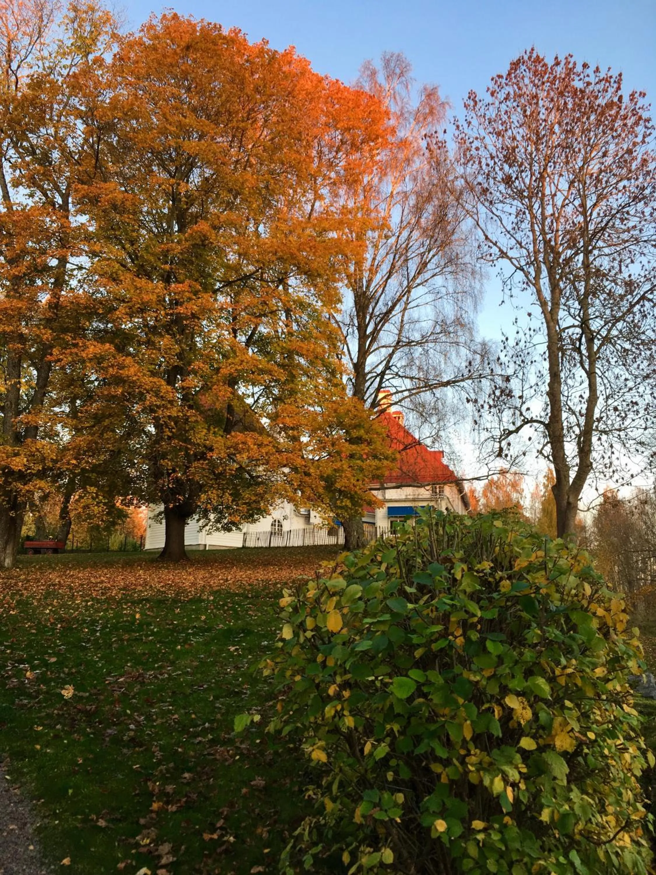 Natural landscape in Wij Trädgårdskök på Wij Trädgårdar